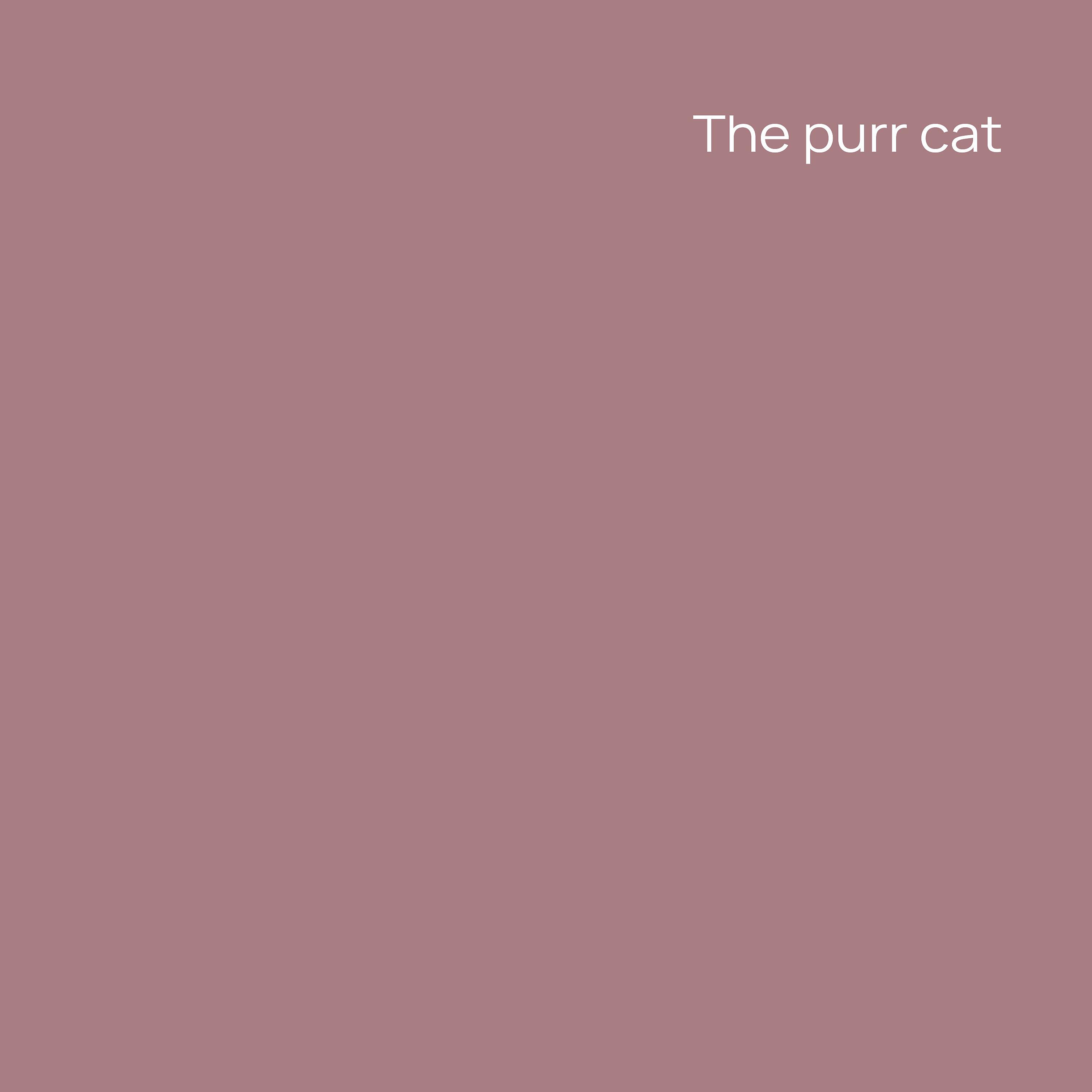 Постер альбома The Purr Cat