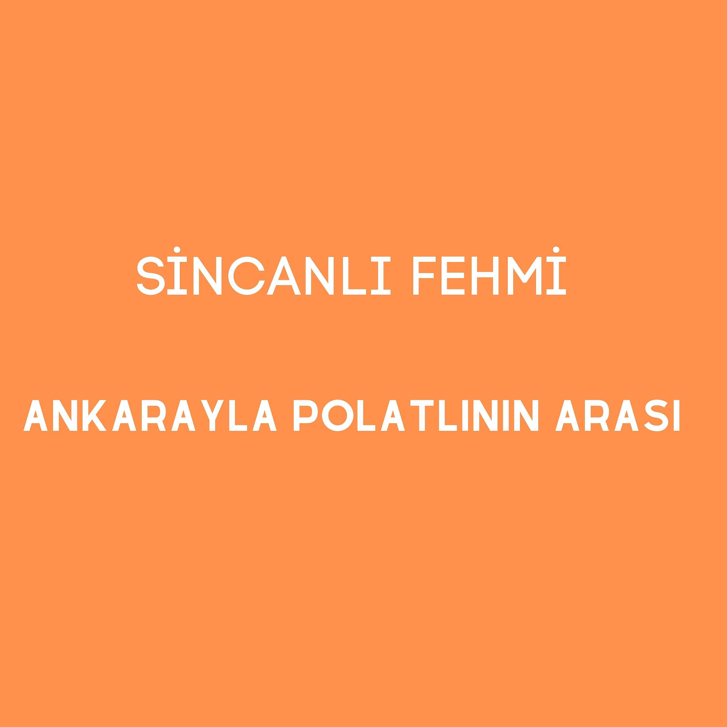 Постер альбома Ankarayla Polatlının Arası