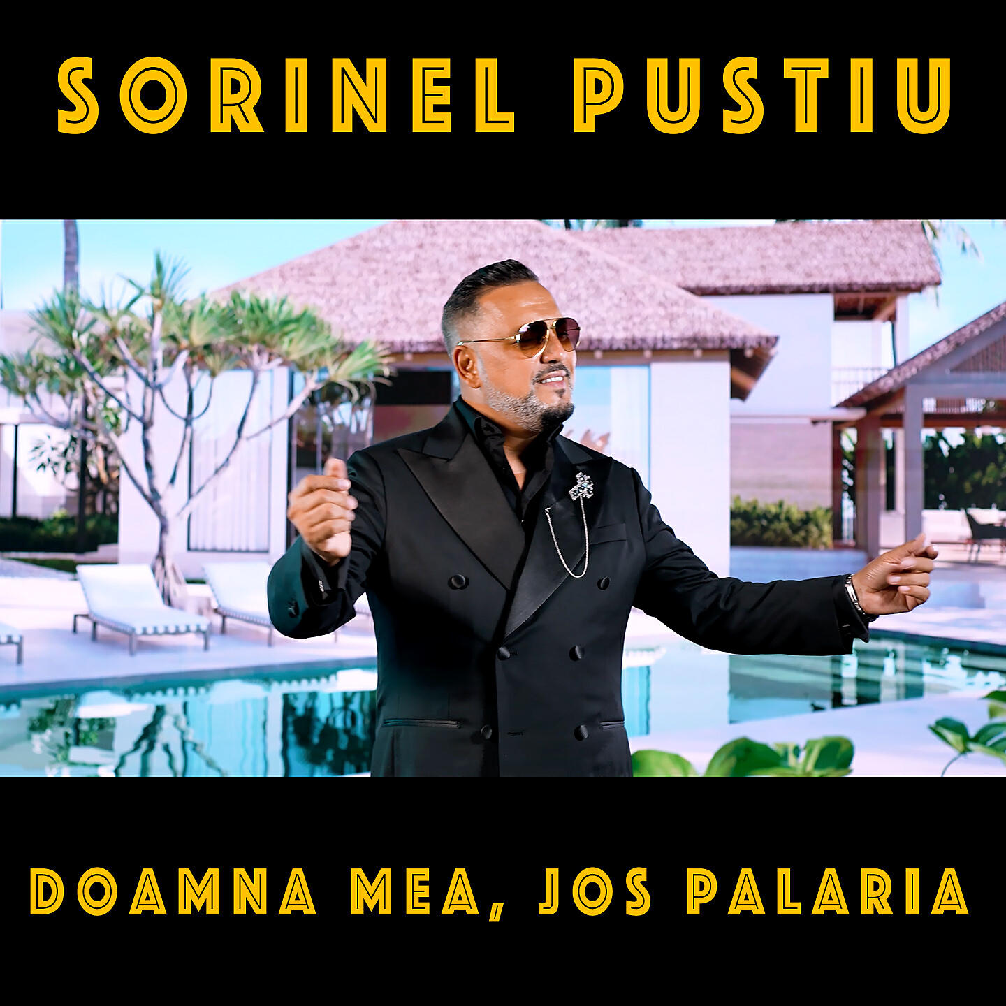 Постер альбома Doamna mea, Jos palaria