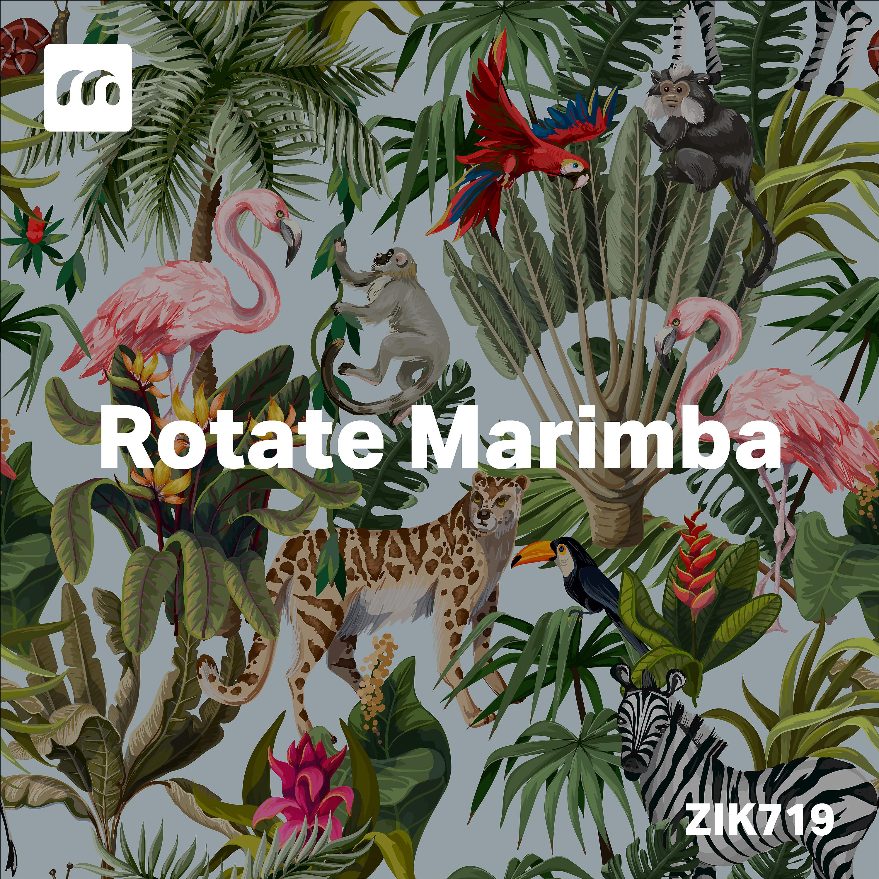 Постер альбома Rotate Marimba
