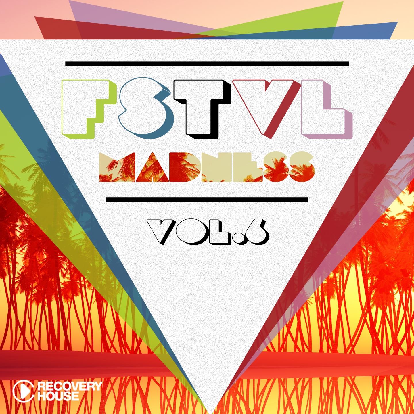 Постер альбома FSTVL Madness, Vol. 6