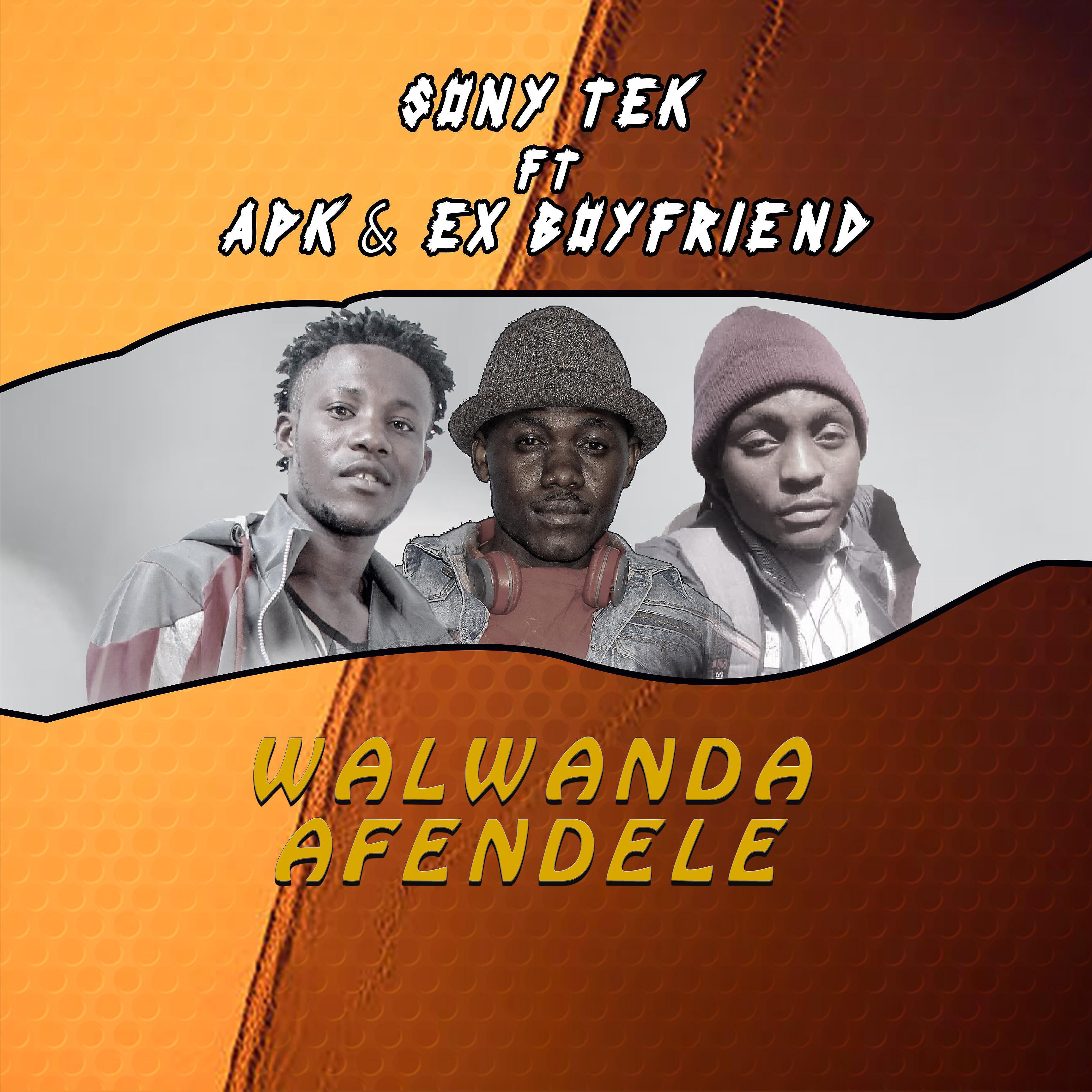 Постер альбома Walwanda afendele (feat. APK & Ex boyfriend)