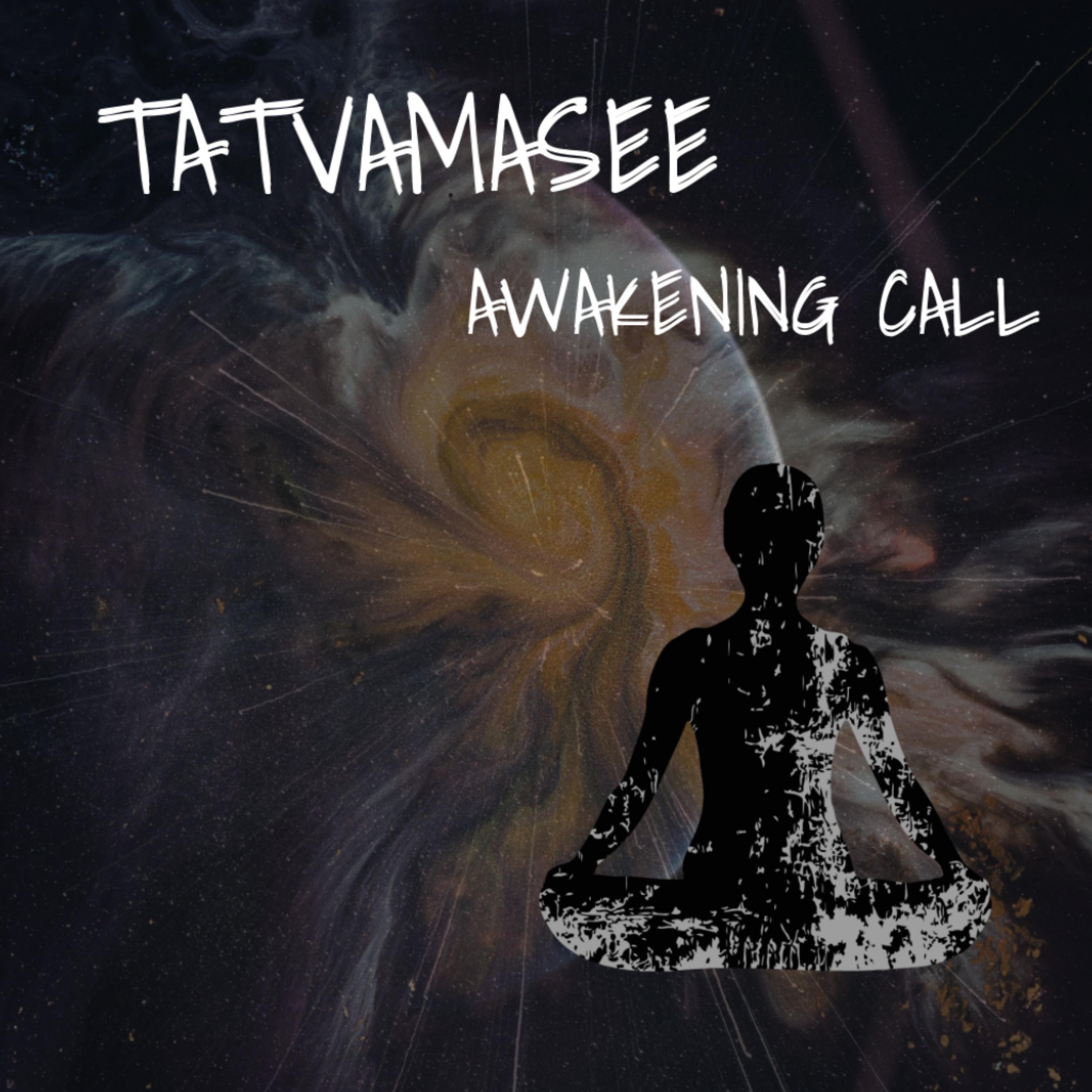 Постер альбома Awakening Call