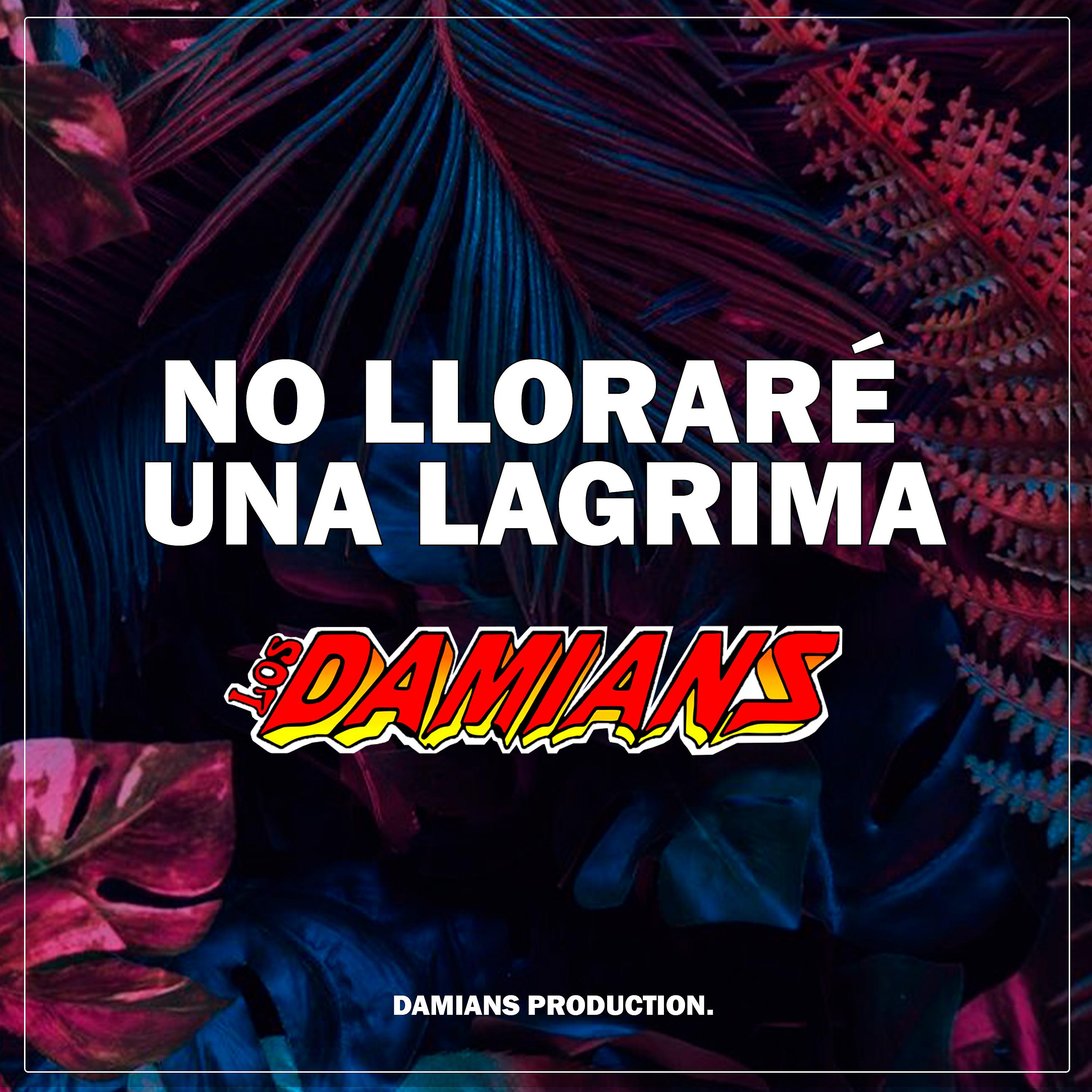 Постер альбома No Lloraré una Lagrima