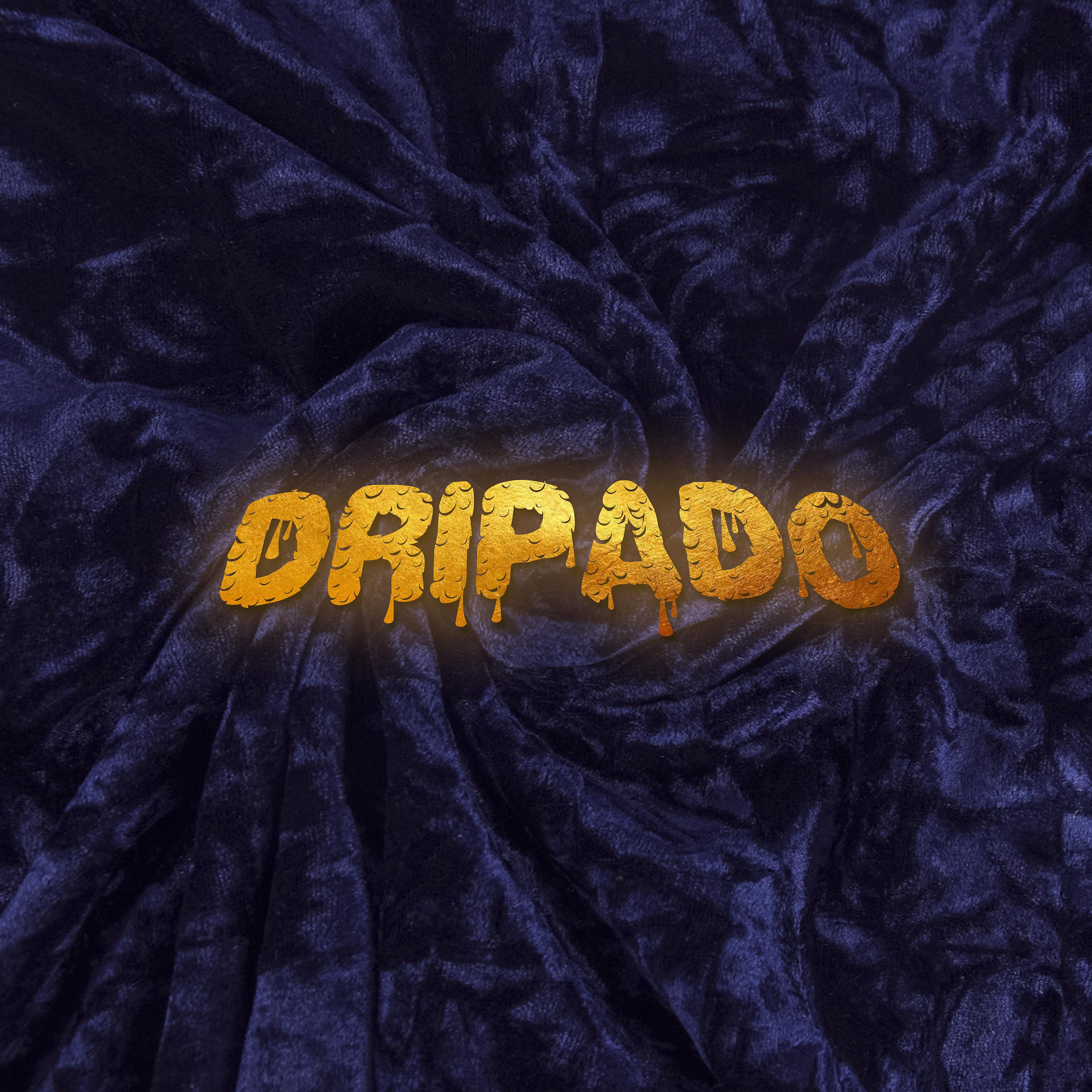 Постер альбома Dripado