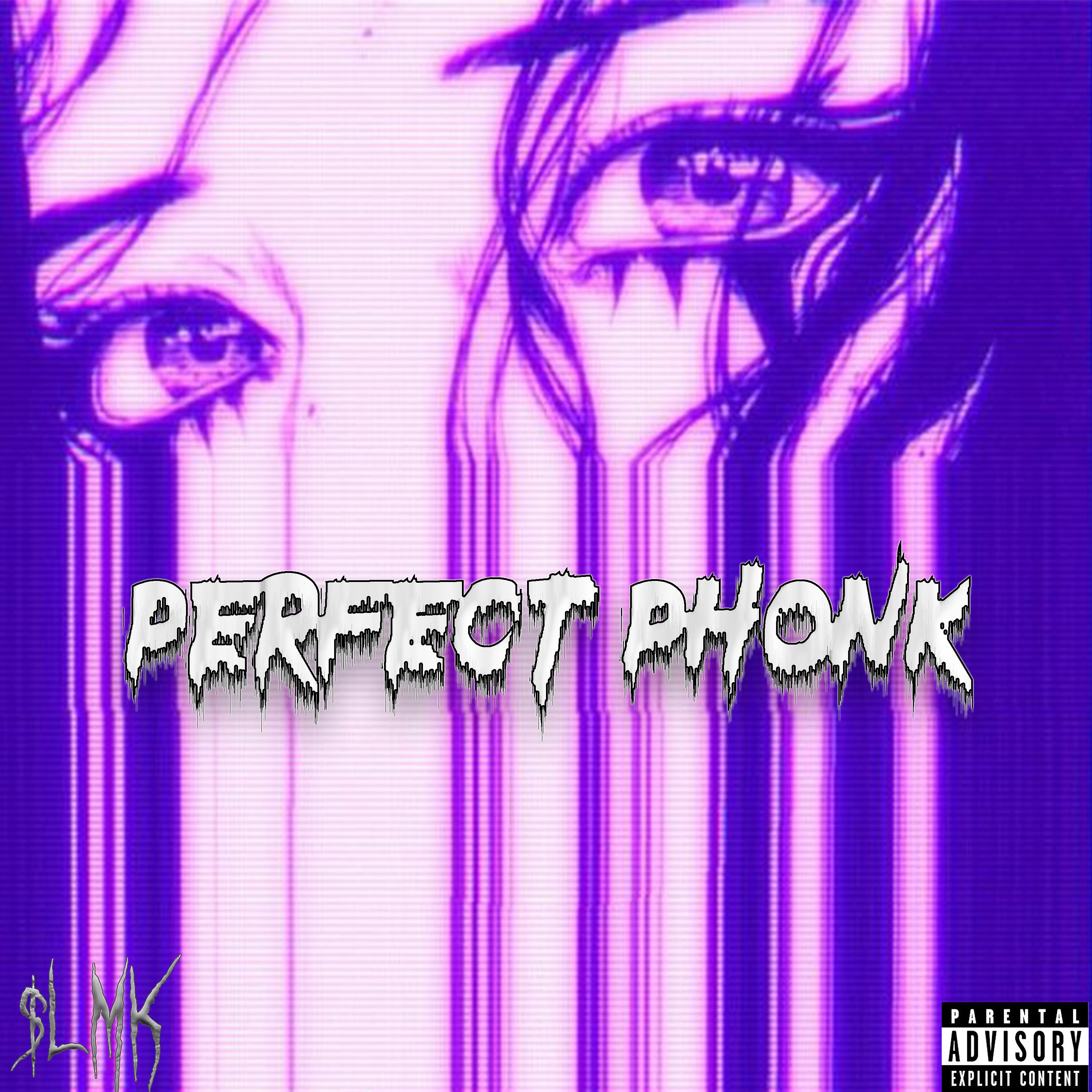 Постер альбома Perfect Phonk