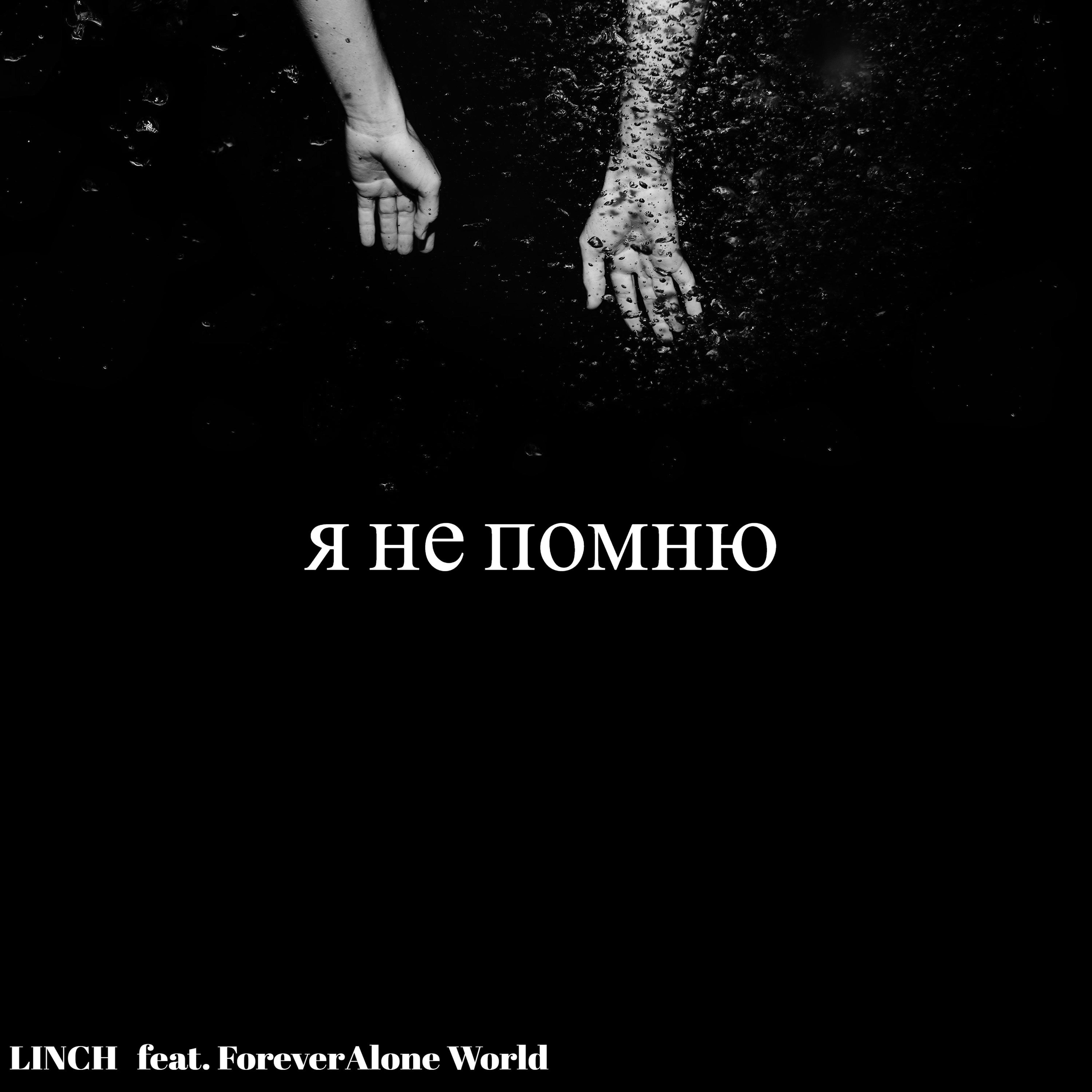 Постер альбома Я не помню (feat. Foreveralone World)