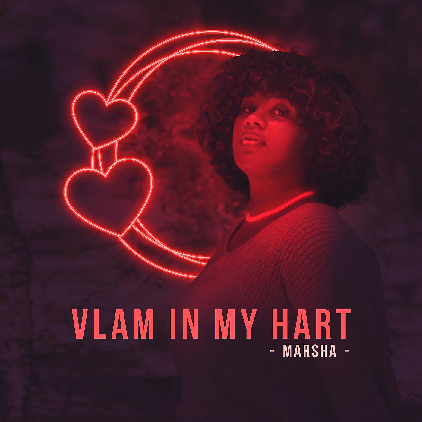 Постер альбома Vlam in My Hart