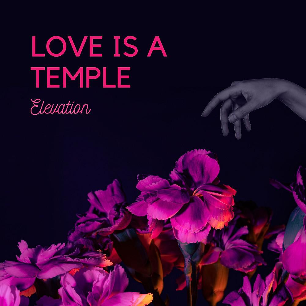 Постер альбома Love Is a Temple