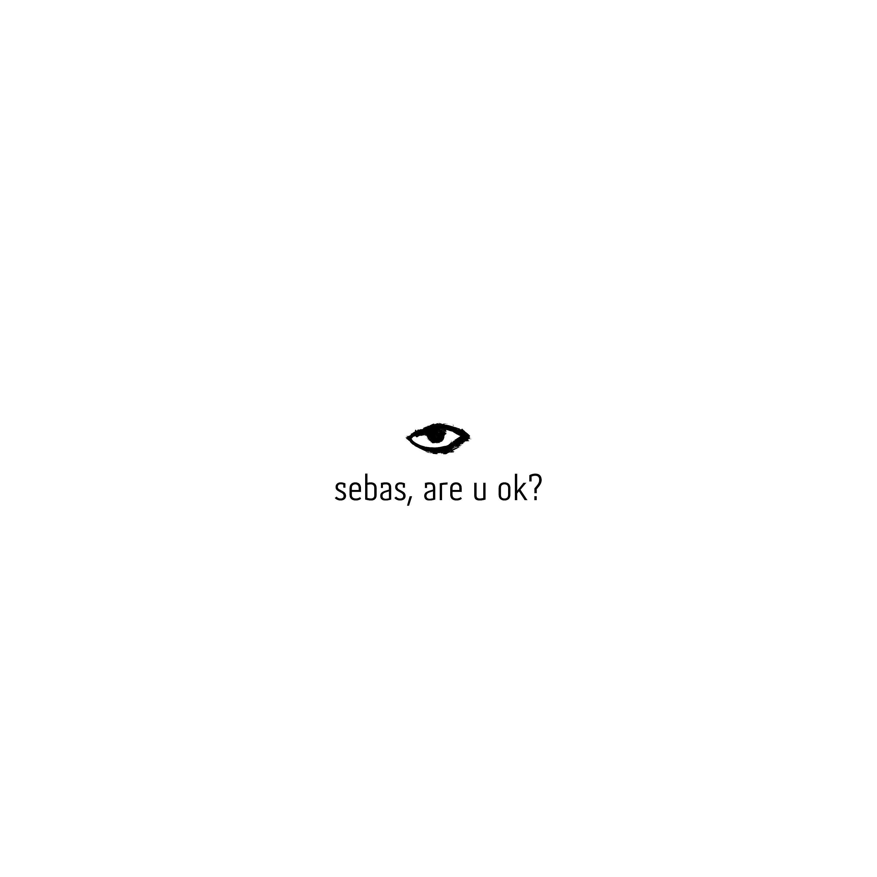 Постер альбома Sebas, Are U Ok?