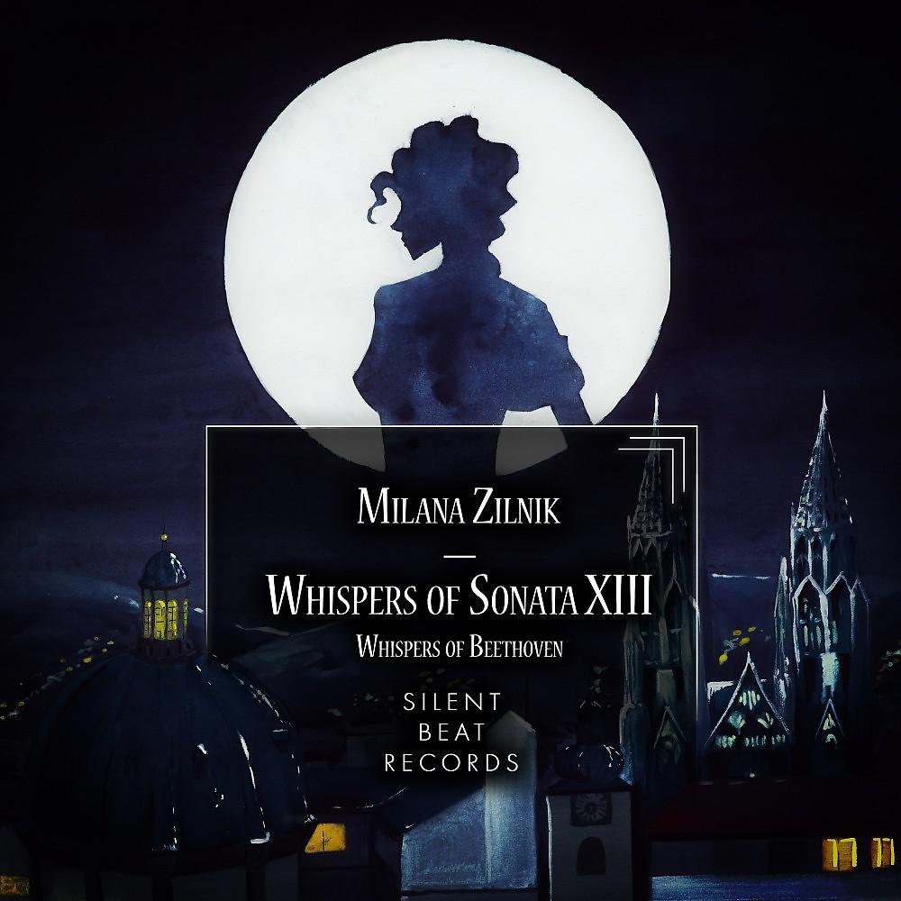 Постер альбома Whispers of Sonata XIII