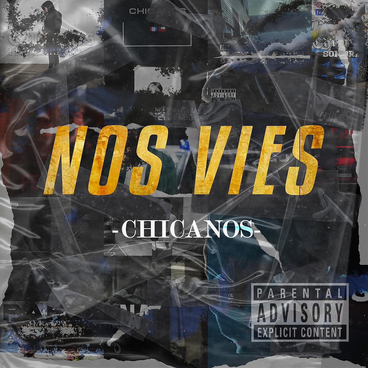 Постер альбома Nos vies