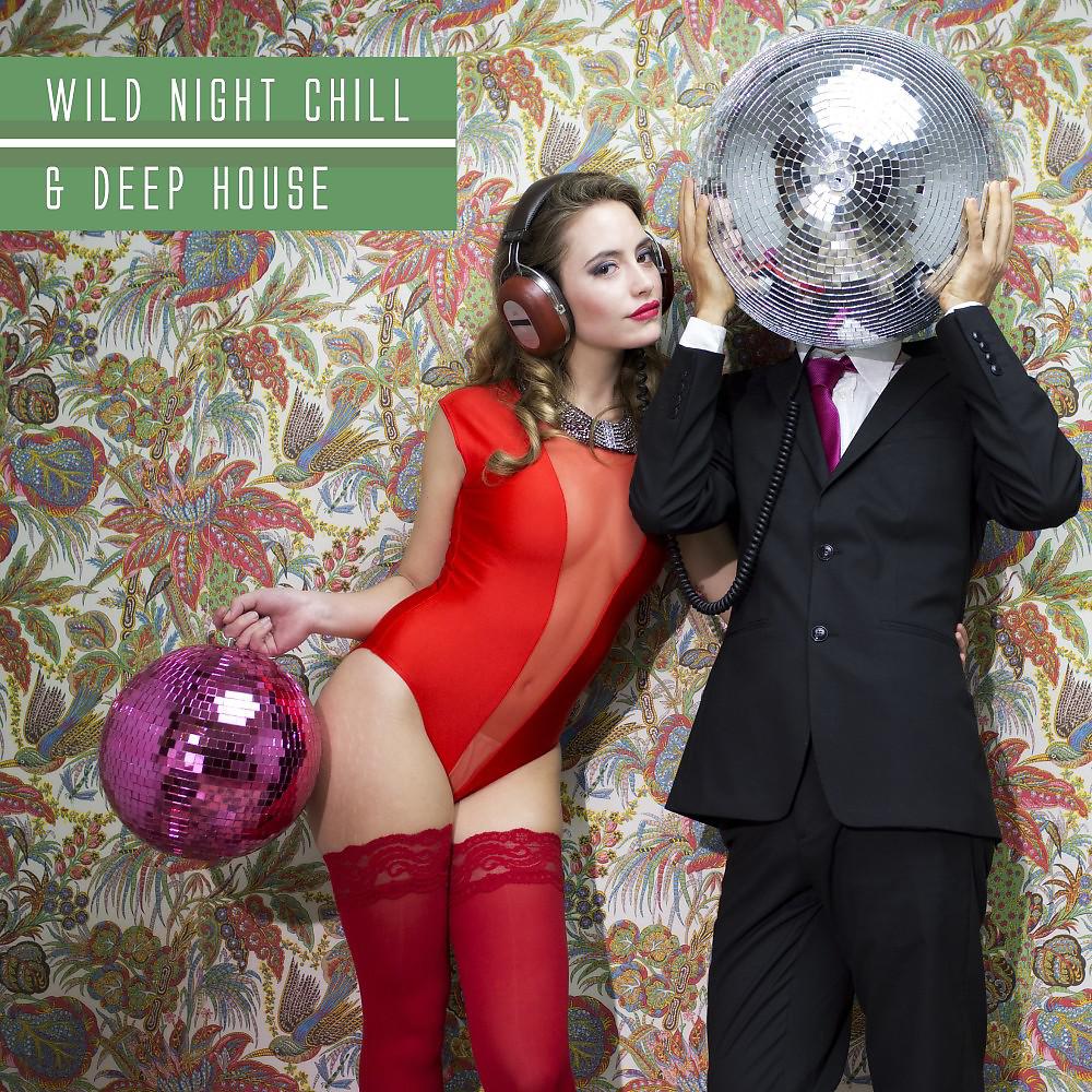 Постер альбома Wild Night Chill & Deep House