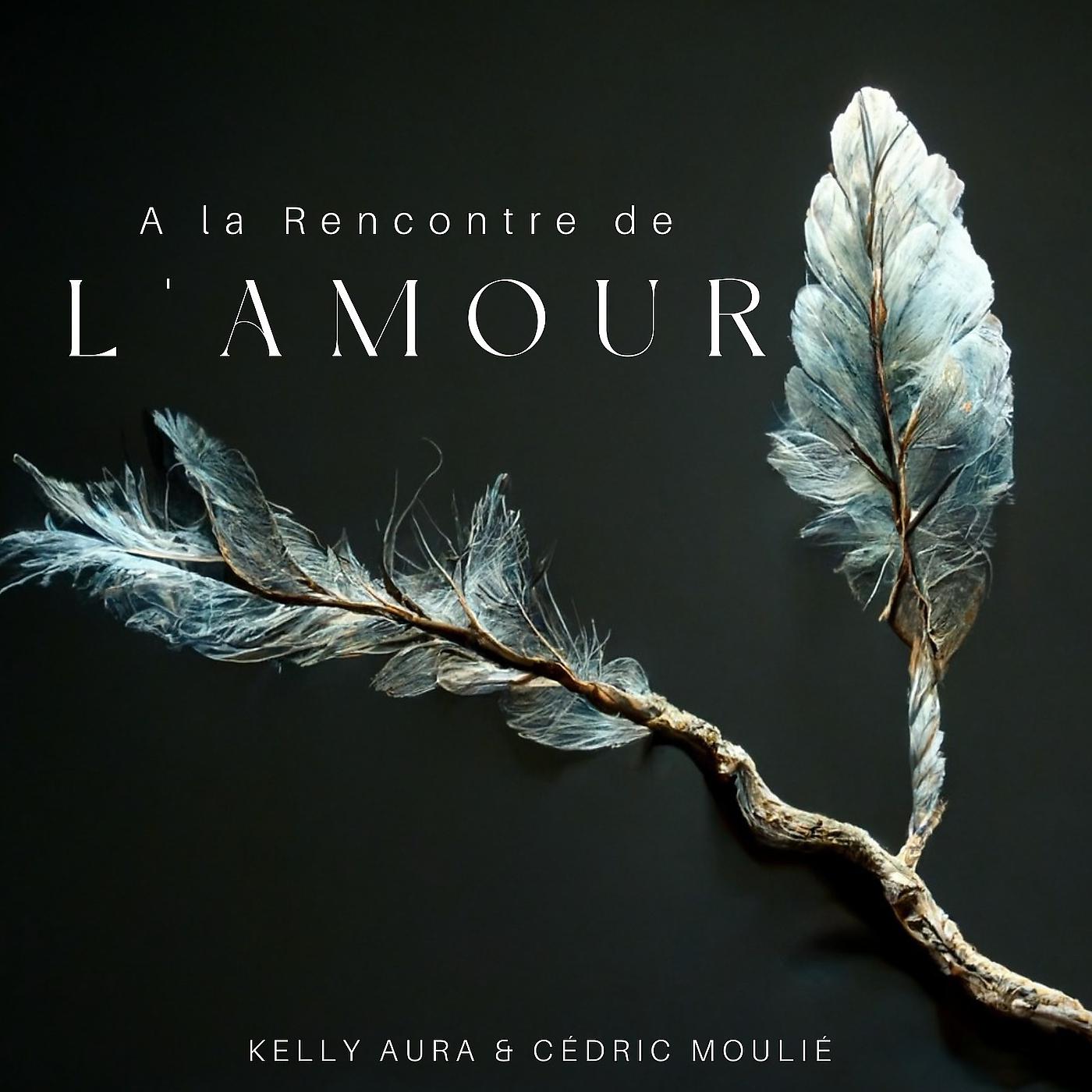 Постер альбома A la Rencontre de l'Amour