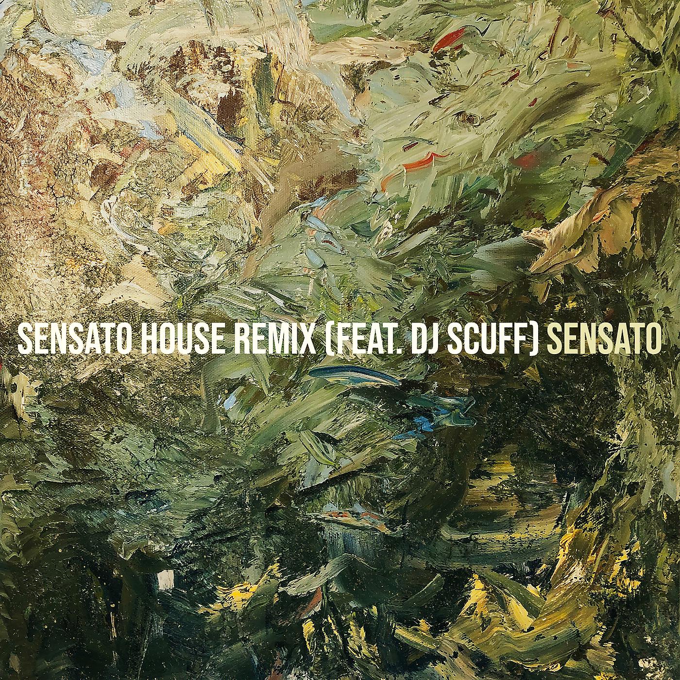 Постер альбома Sensato House (Remix)