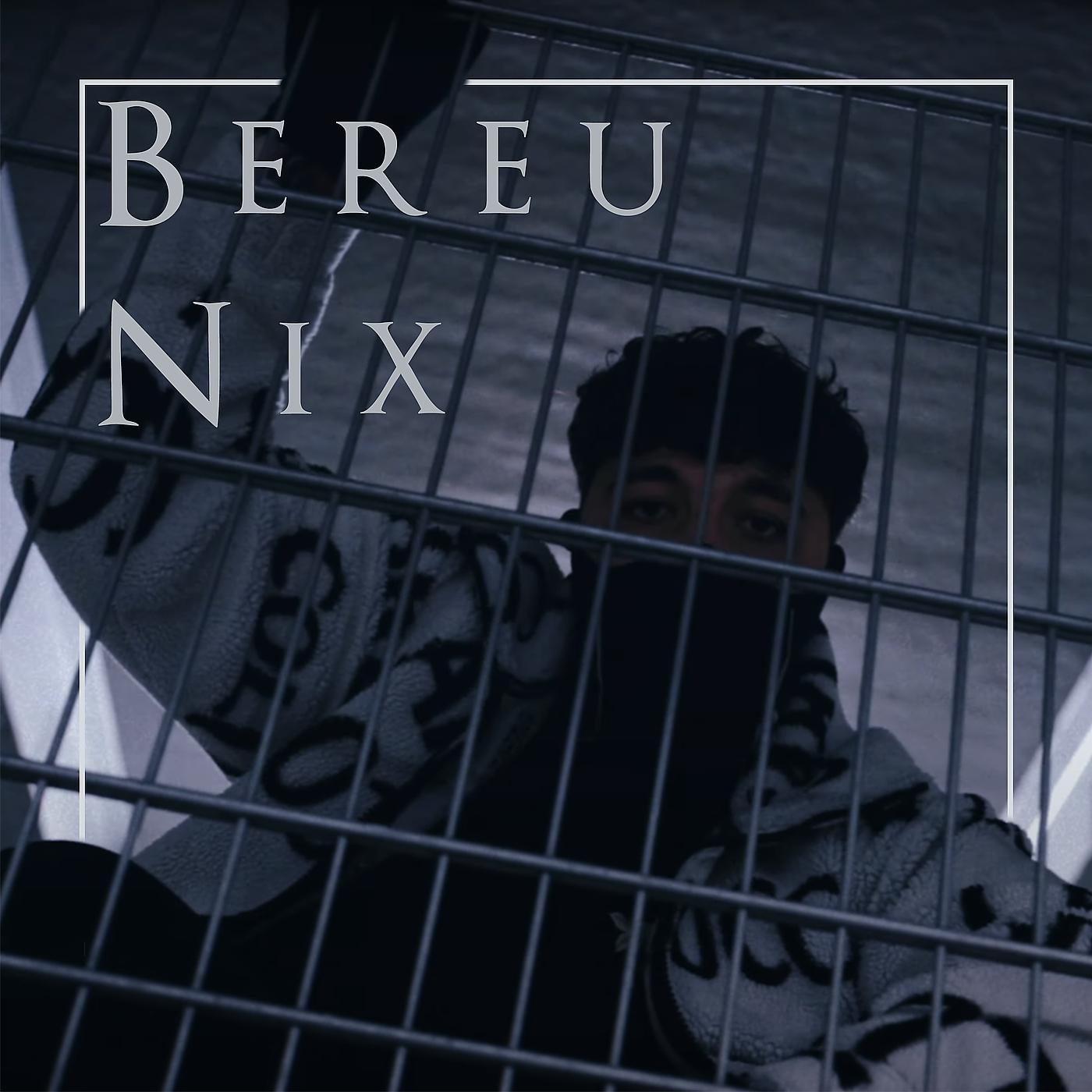 Постер альбома Bereu Nix
