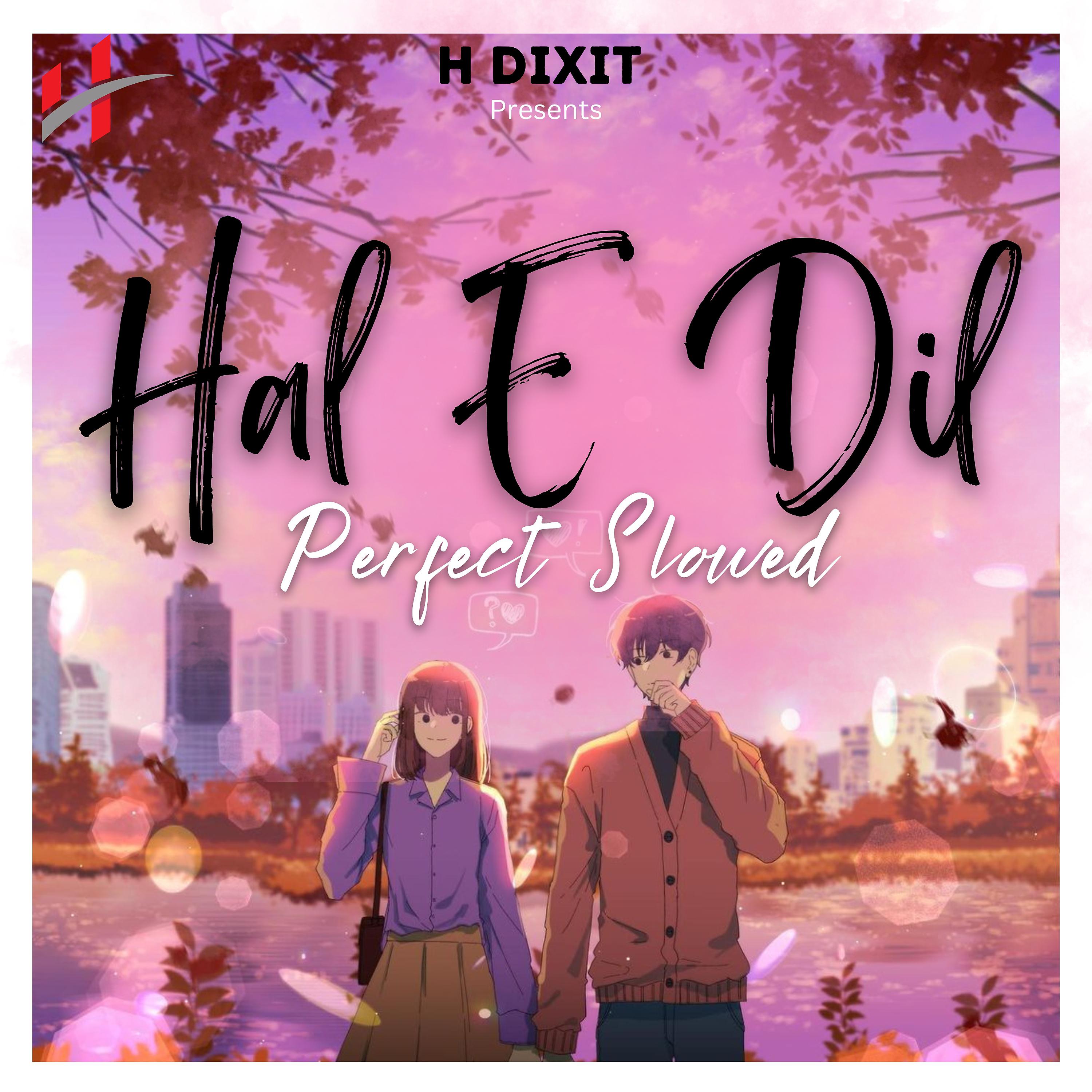 Постер альбома Hale Dil (Perfect Slowed)