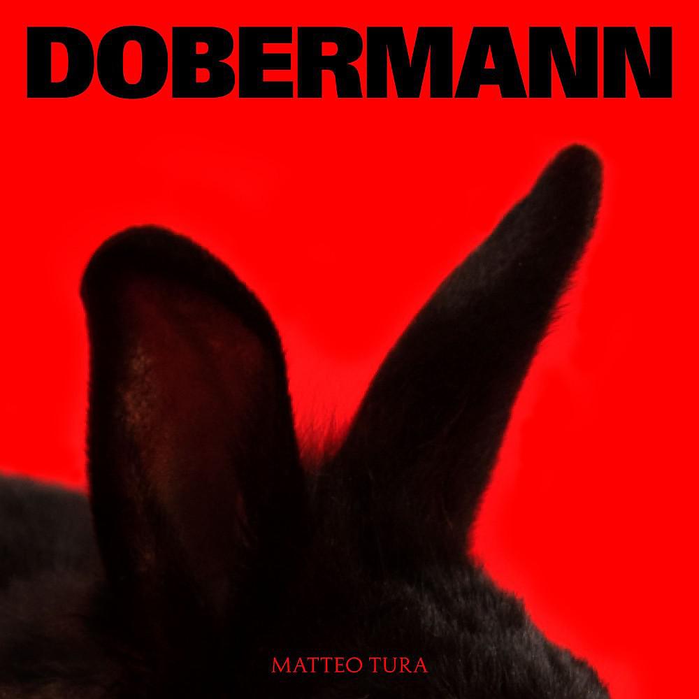 Постер альбома Dobermann