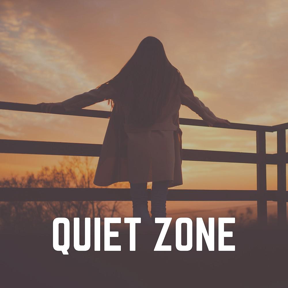 Постер альбома Quiet Zone