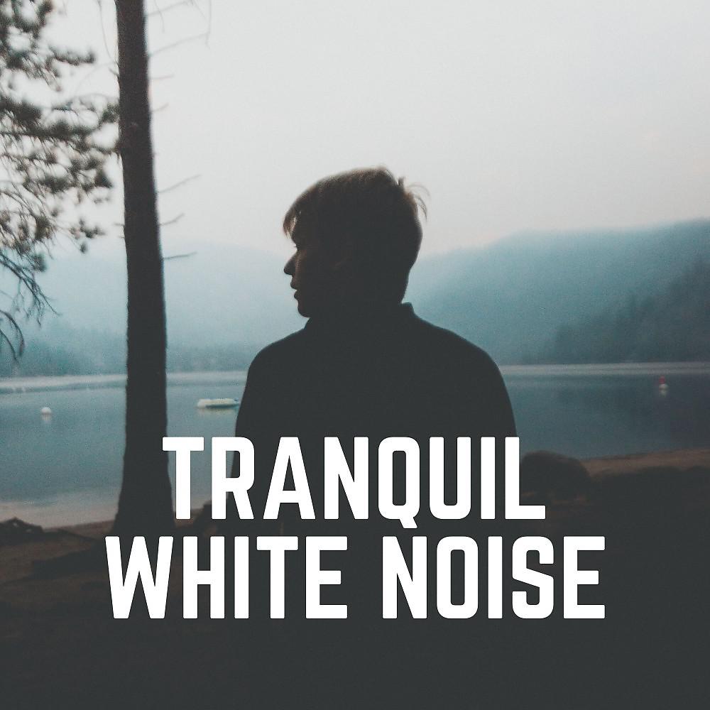 Постер альбома Tranquil White Noise