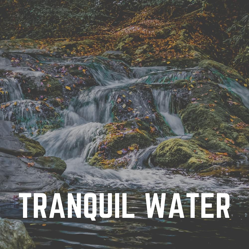 Постер альбома Tranquil Water