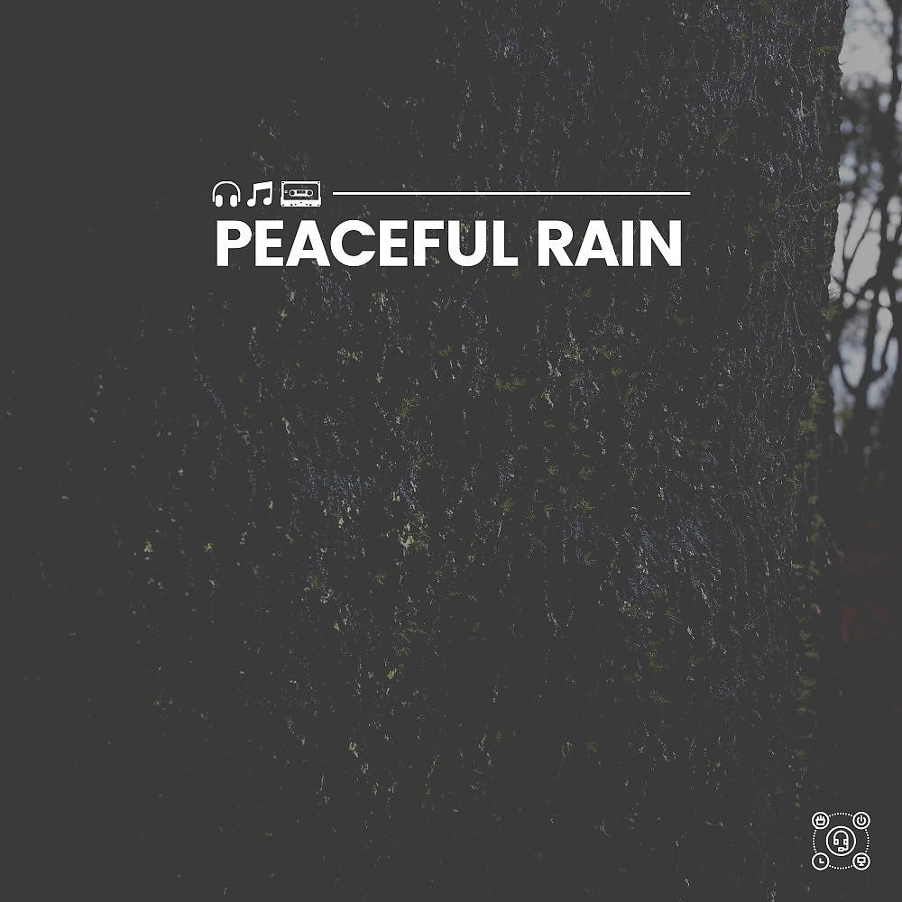 Постер альбома Peaceful Rain
