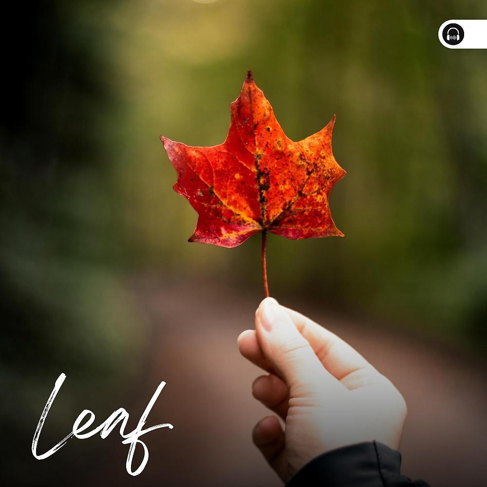 Постер альбома Leaf