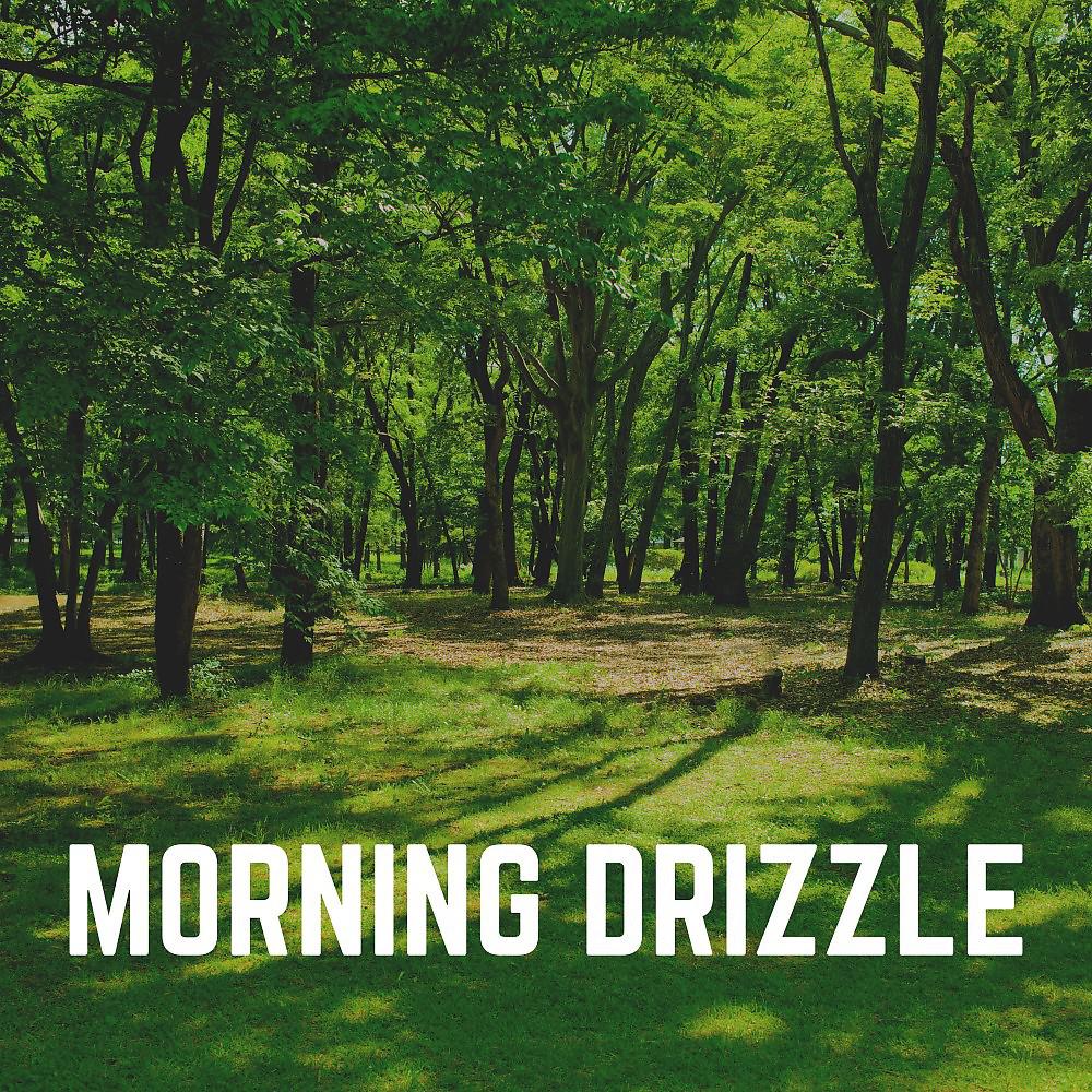 Постер альбома Morning Drizzle