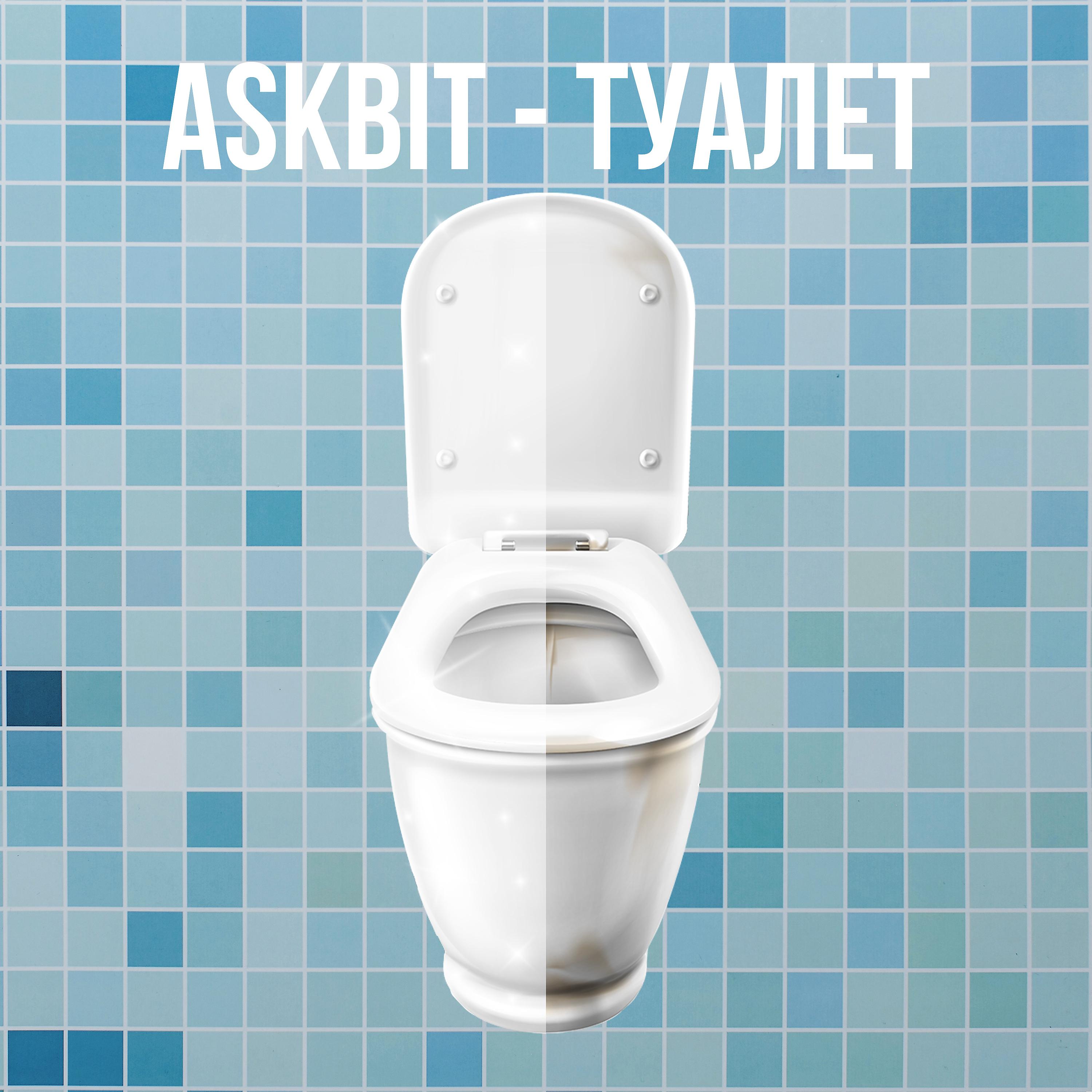 Постер альбома Туалет