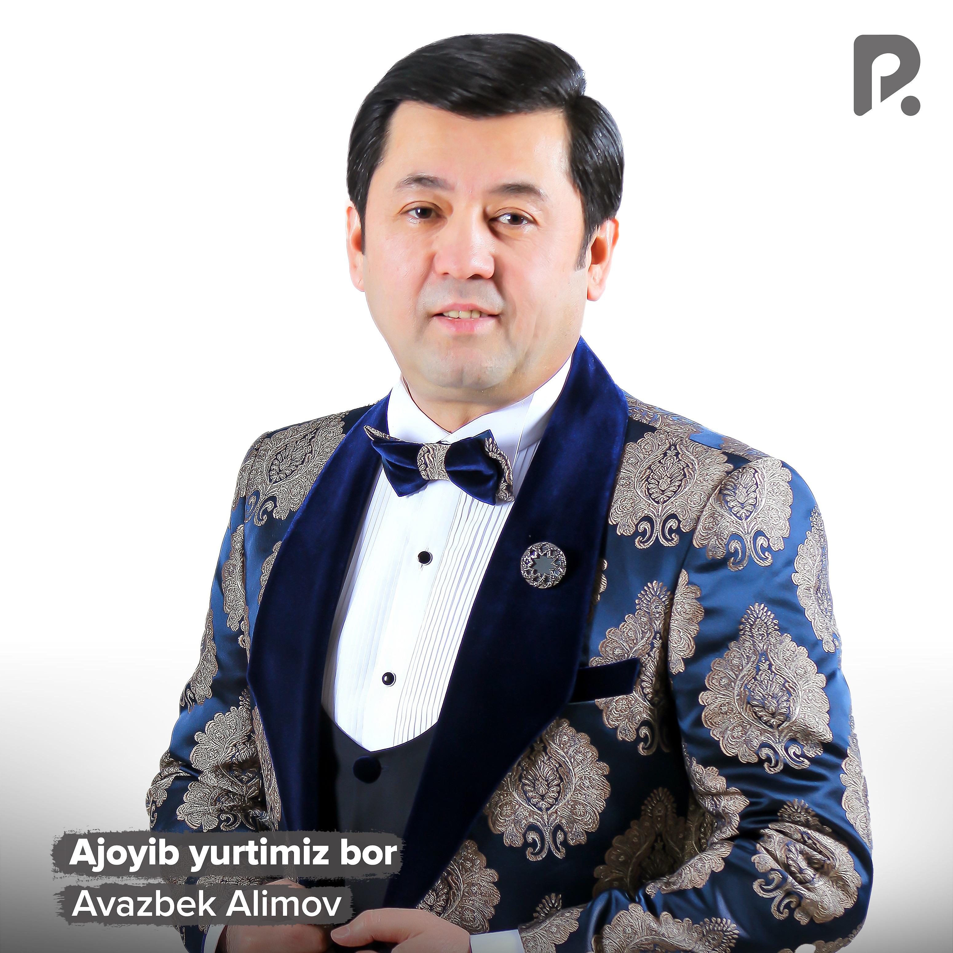Постер альбома Ajoyib yurtimiz bor (cover)