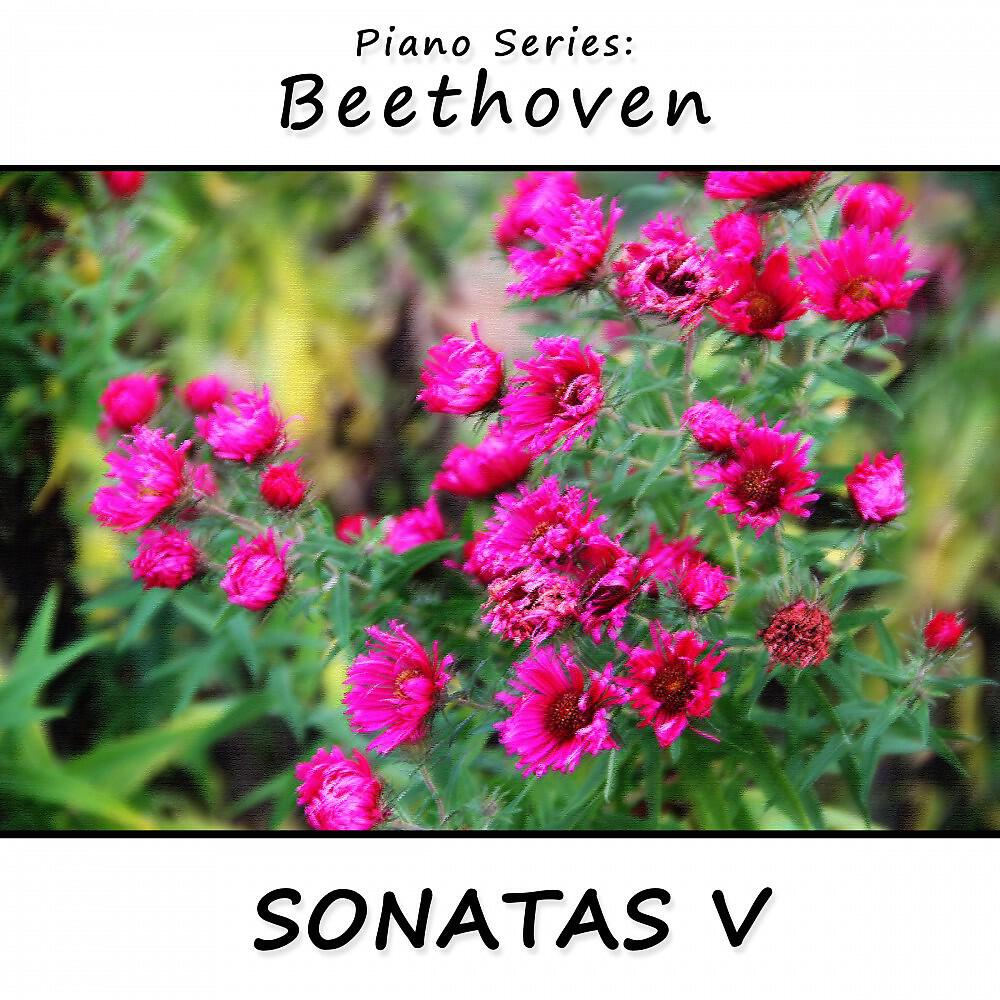 James Wright Webber - Sonata No. 6 in F Major, Op. 10 (No. 2): I Allegro