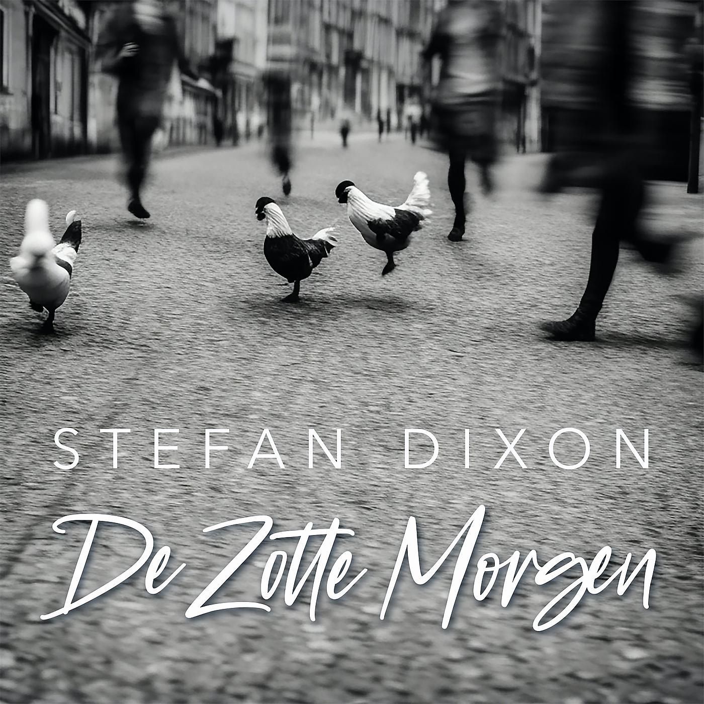 Постер альбома De Zotte Morgen
