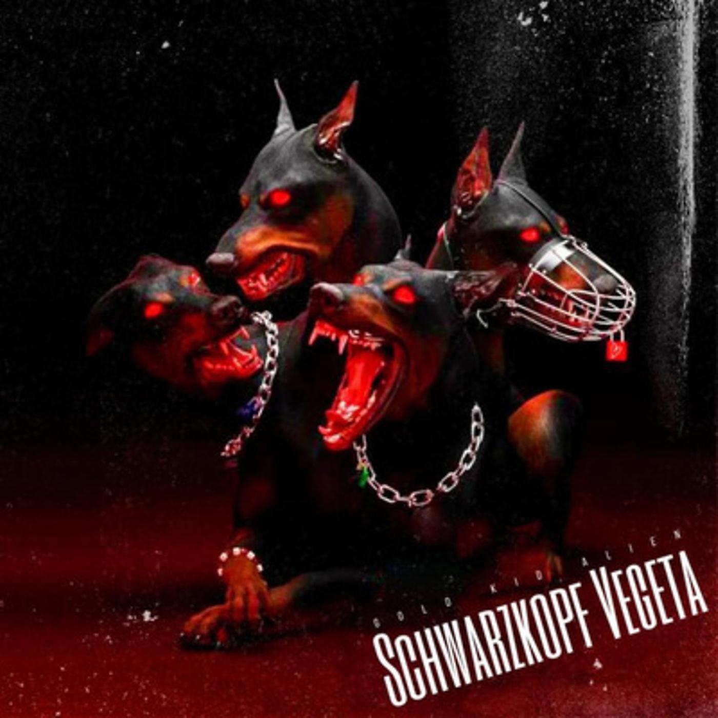 Постер альбома Schwarzkopf Vegeta