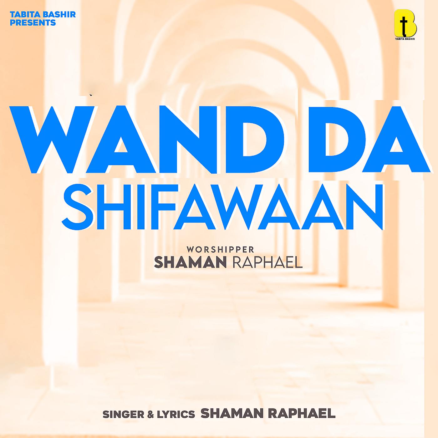 Постер альбома Wand da Shifawaan
