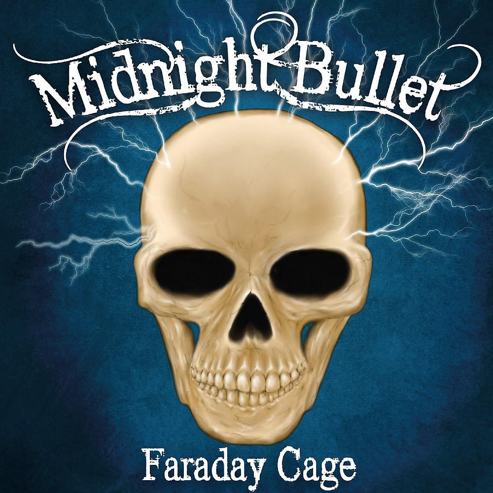 Постер альбома Faraday Cage