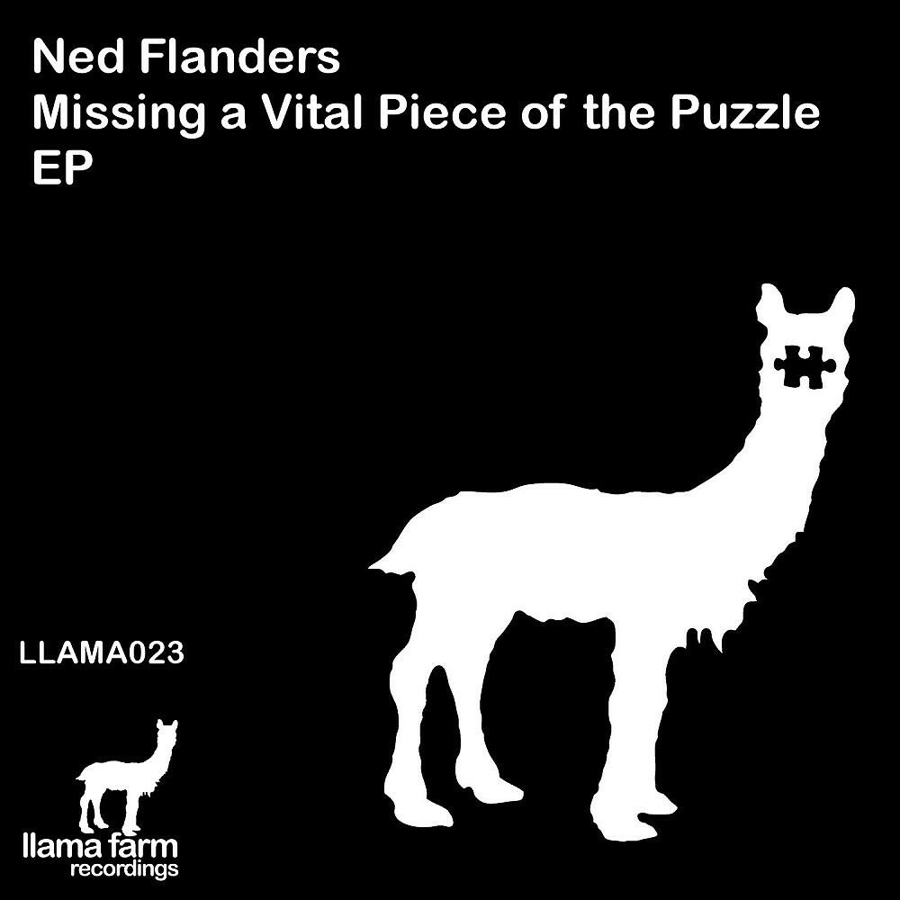 Ned Flanders - Bit Broke (Original Mix)