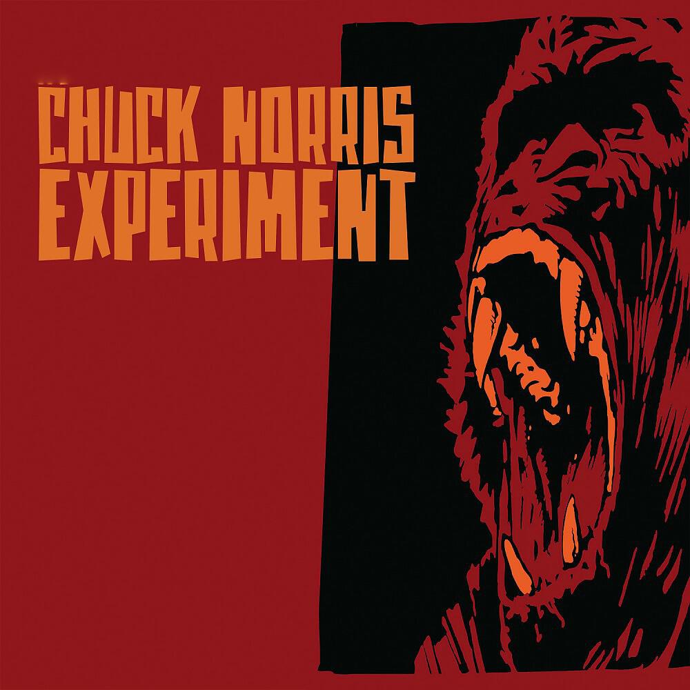 Chuck Norris Experiment - Caped Crusader