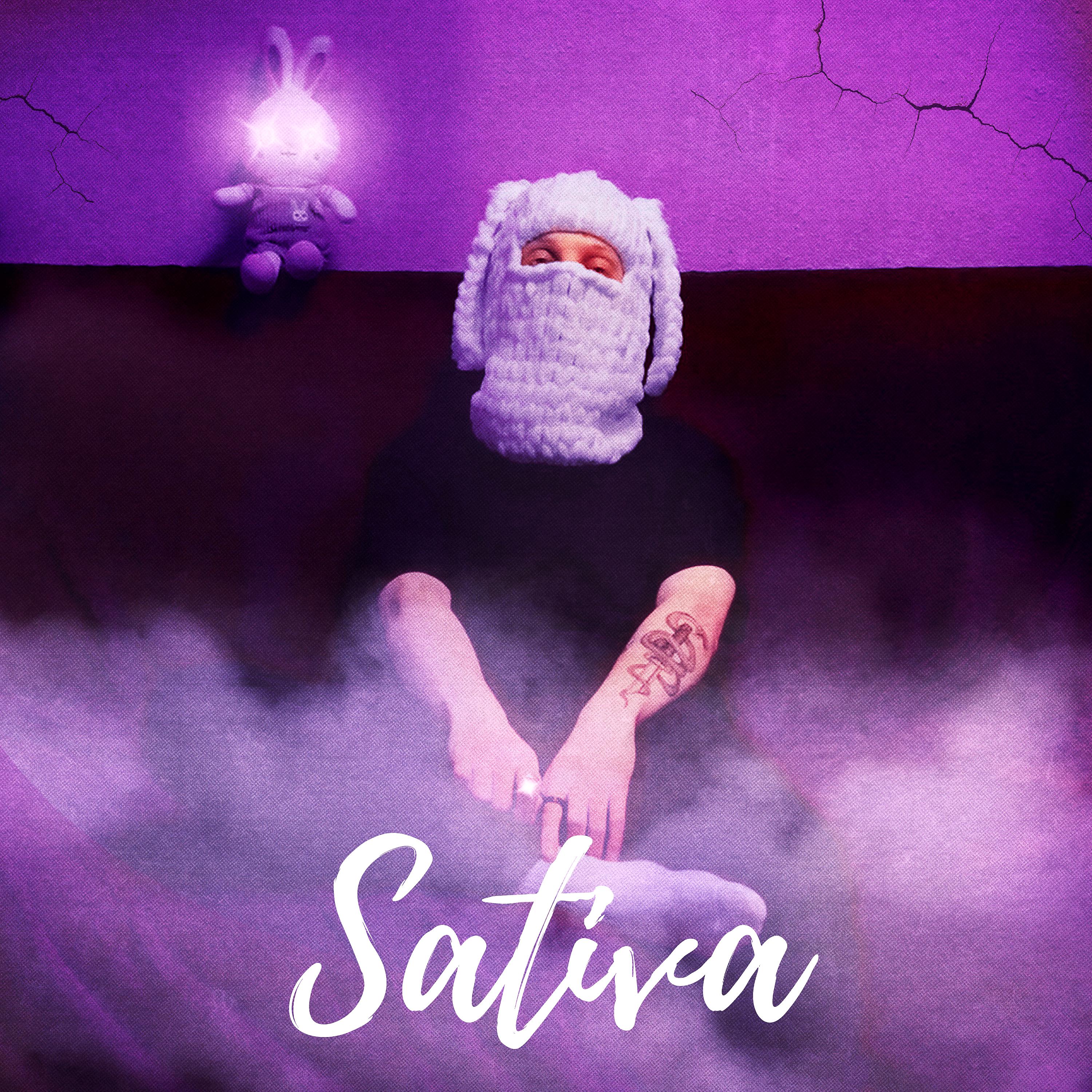 Постер альбома Sativa (Remix)