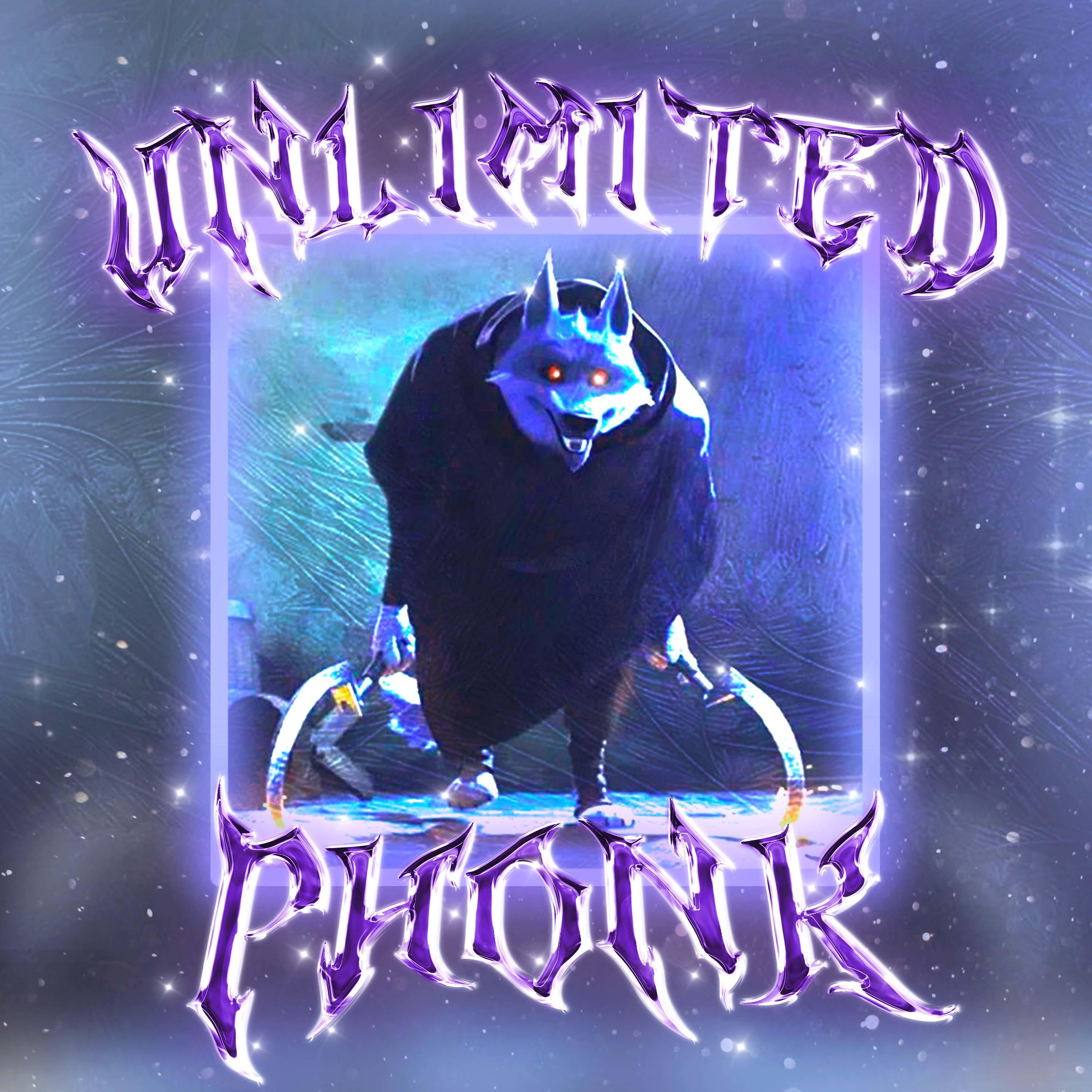 Постер альбома Unlimited Phonk