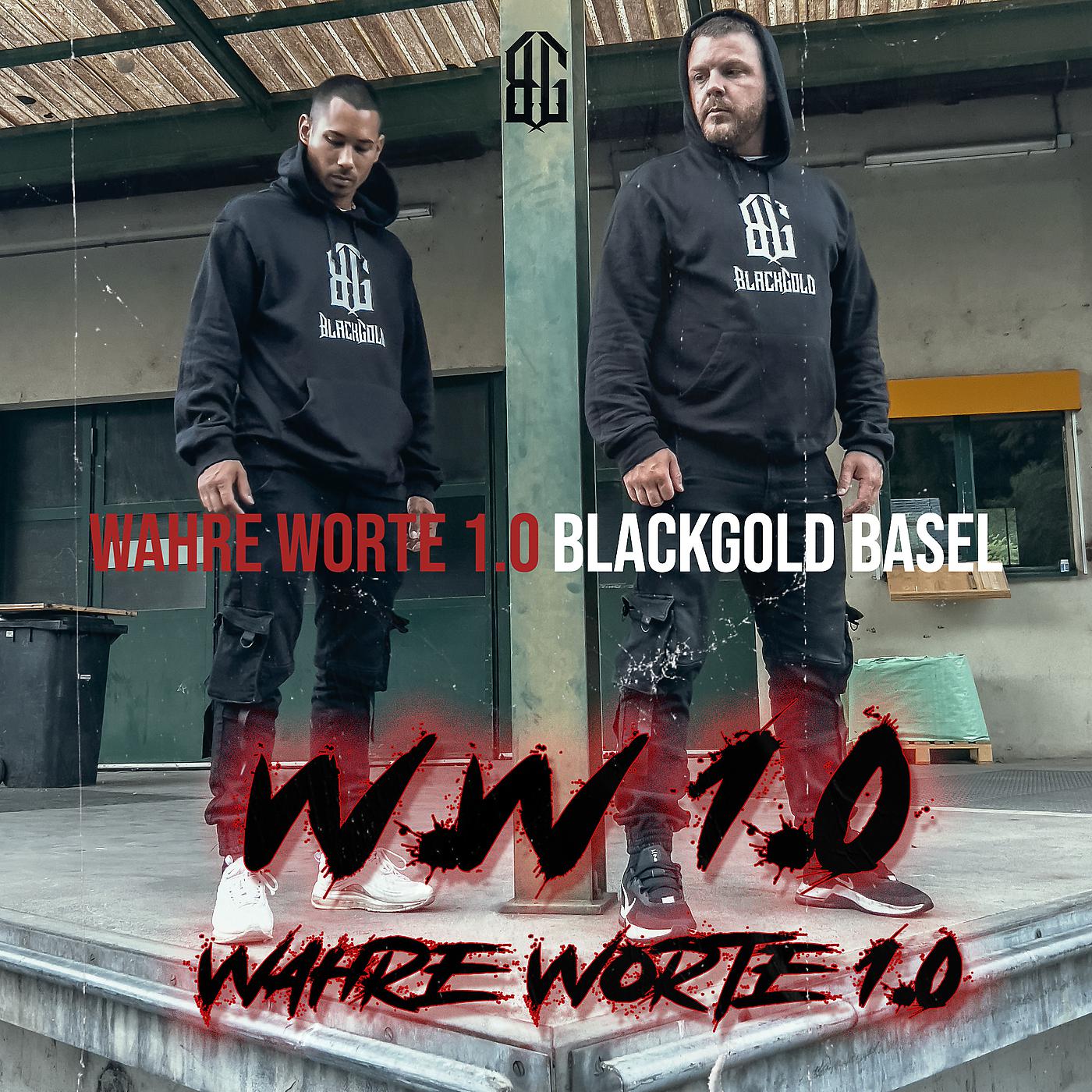 Постер альбома Wahre Worte 1.0