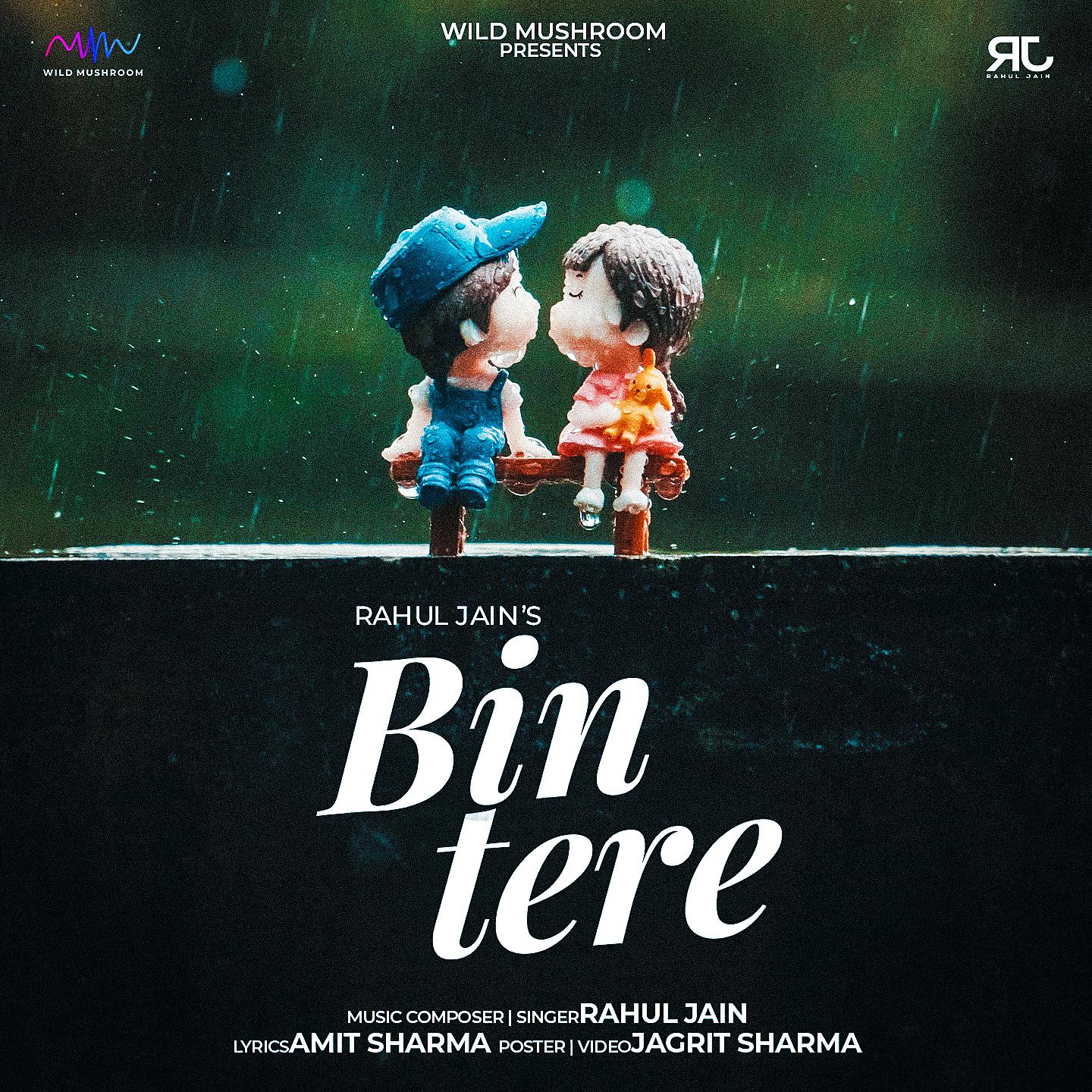 Постер альбома Bin tere