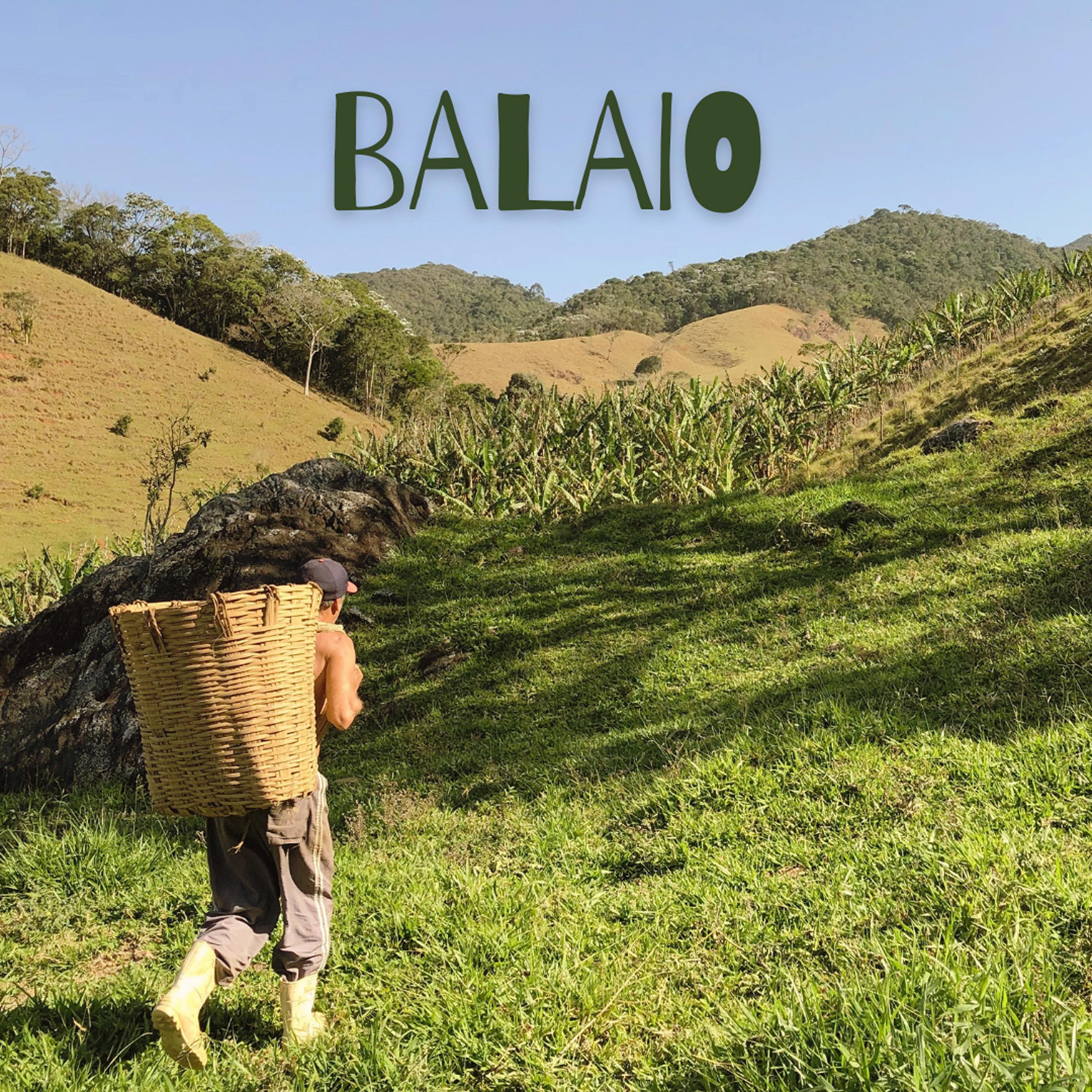 Постер альбома Balaio