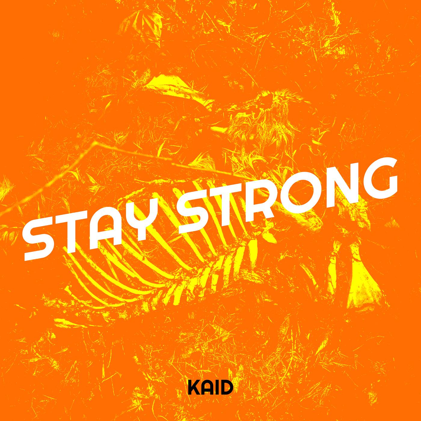 Постер альбома Stay Strong