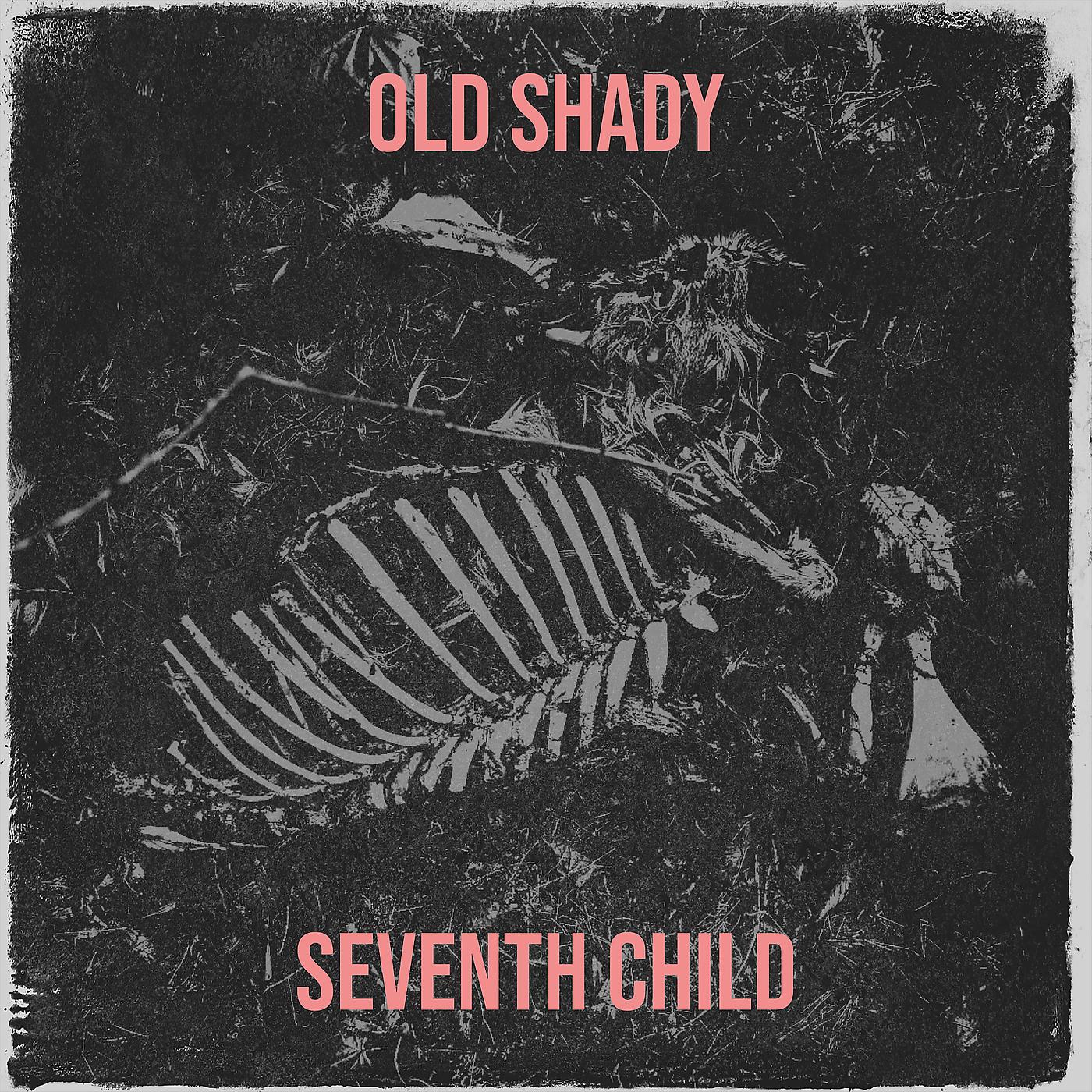 Постер альбома Old Shady