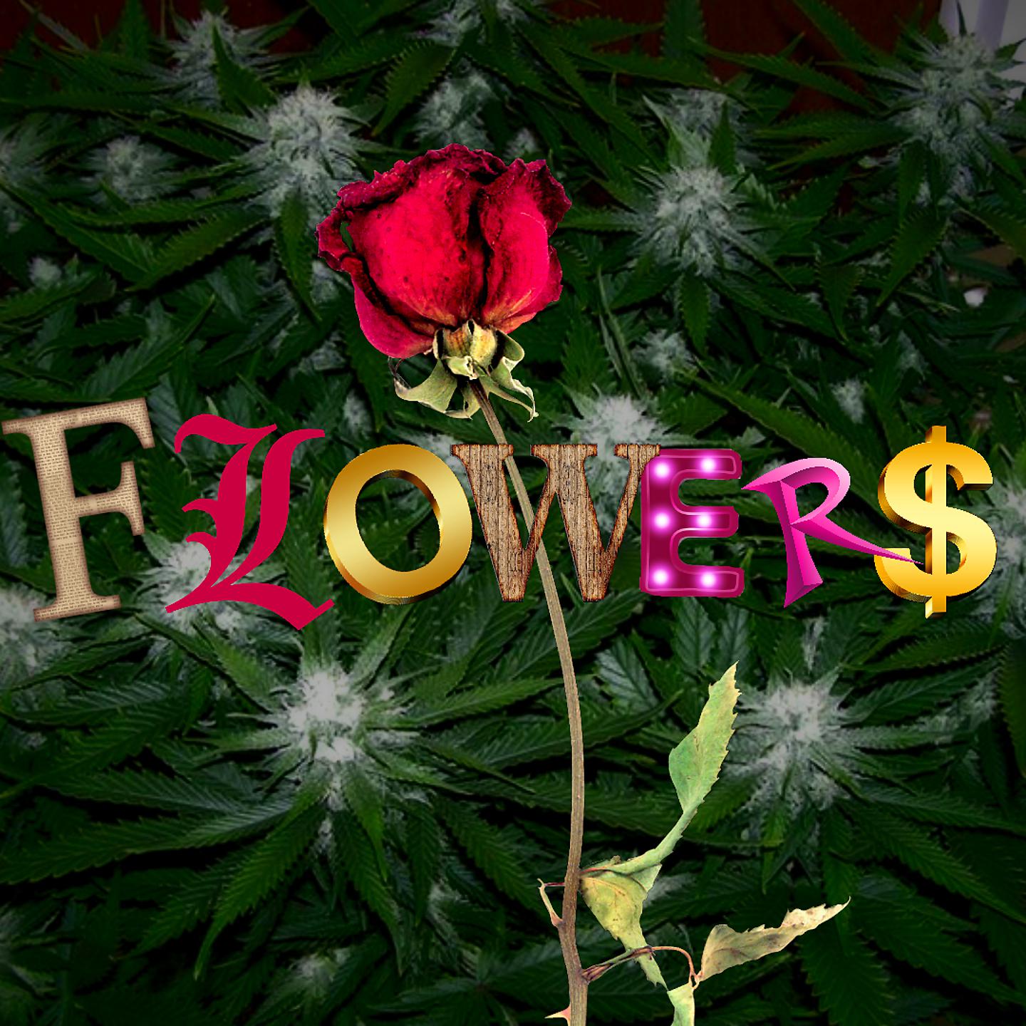 Постер альбома Flower$