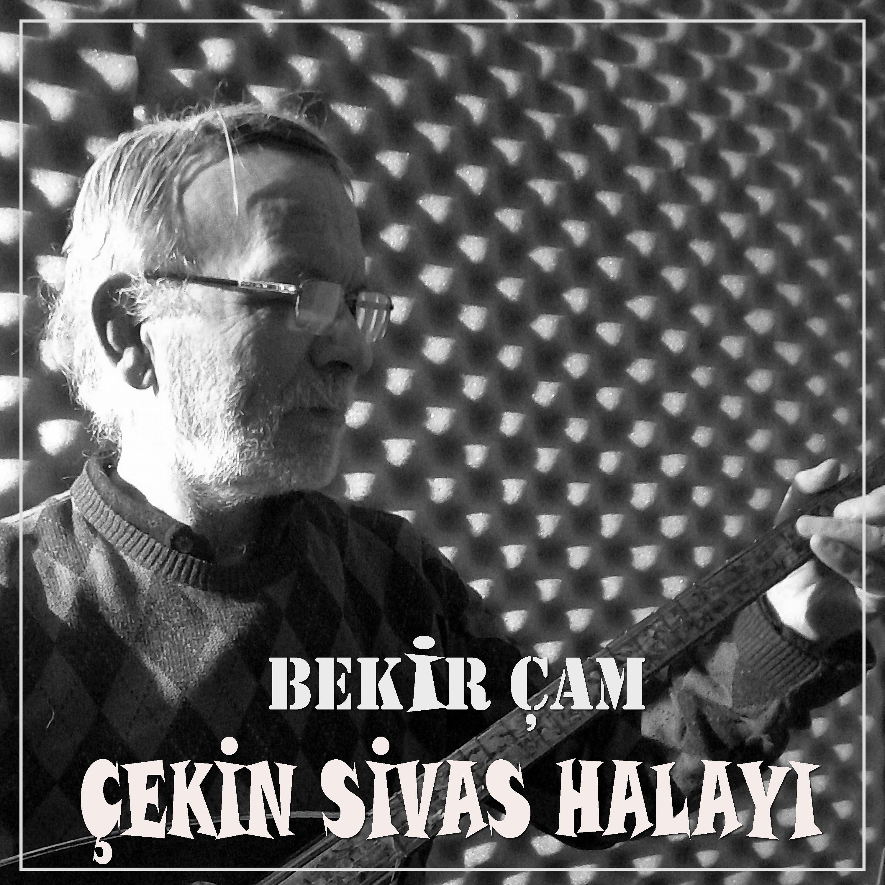 Постер альбома Çekin Sivas Halayı