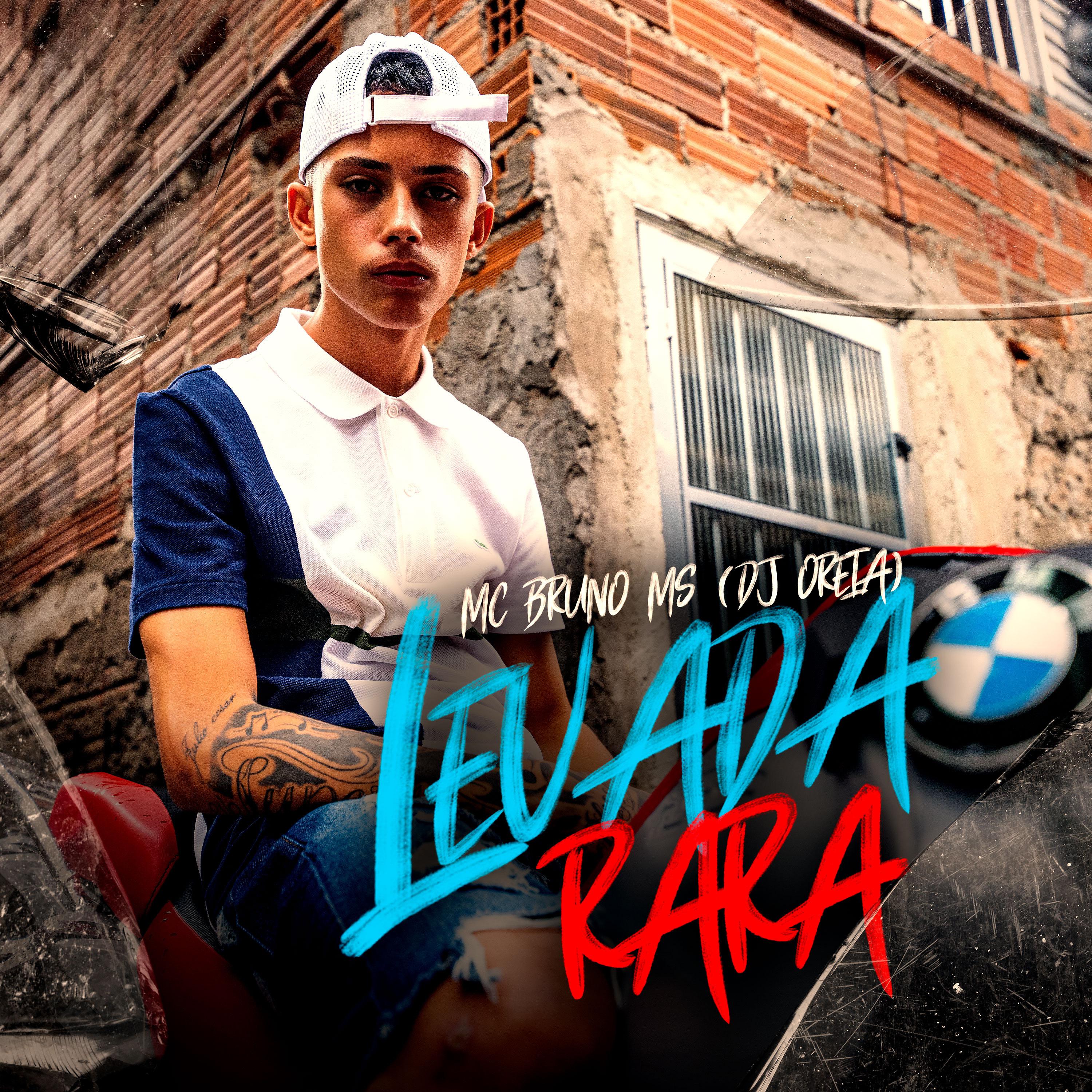 Постер альбома Levada Rara