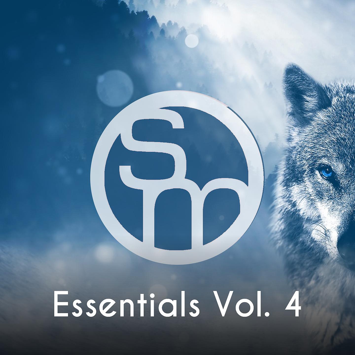 Постер альбома Syncmusic - Essentials, Vol. 4