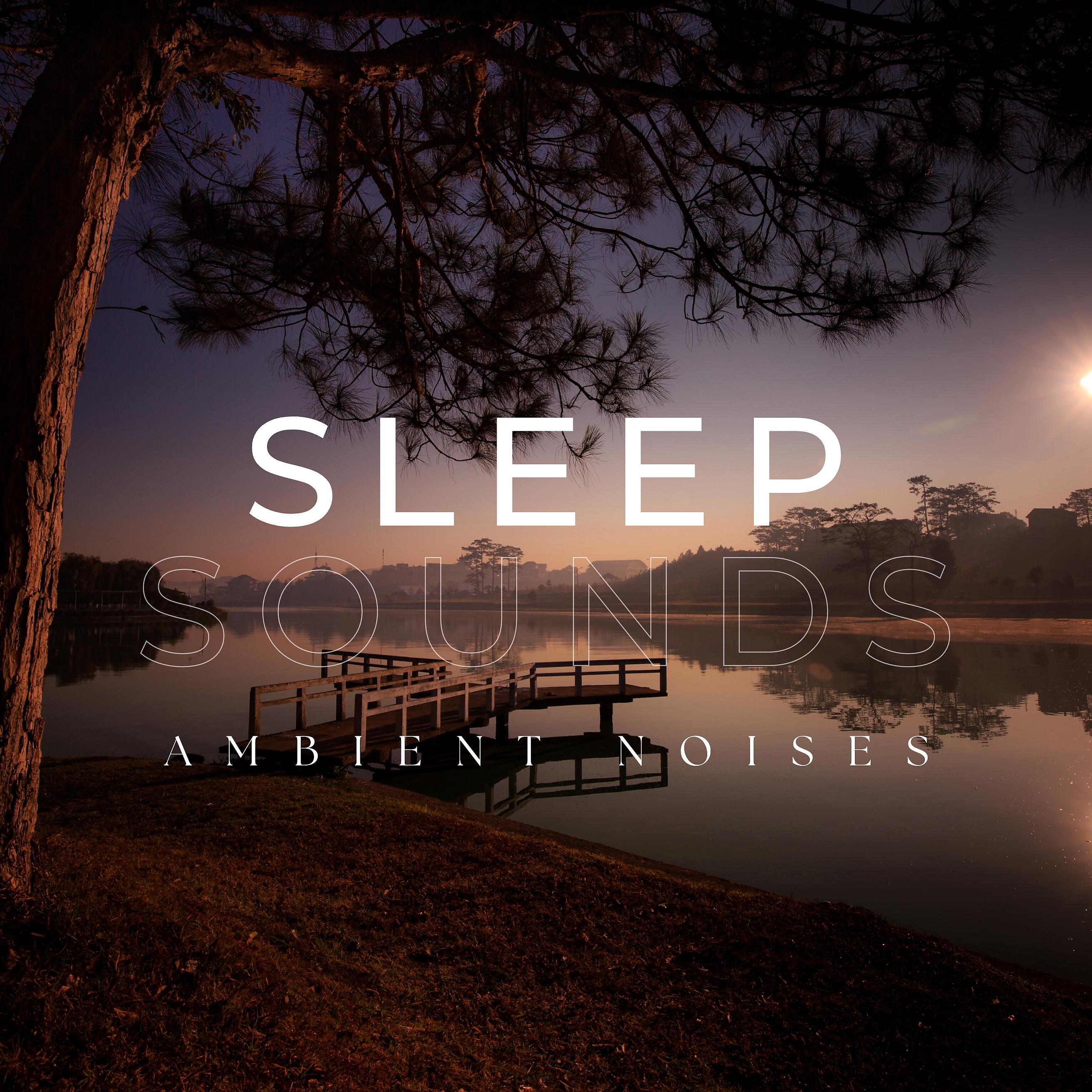 Постер альбома Sleep Sounds Ambient Noises