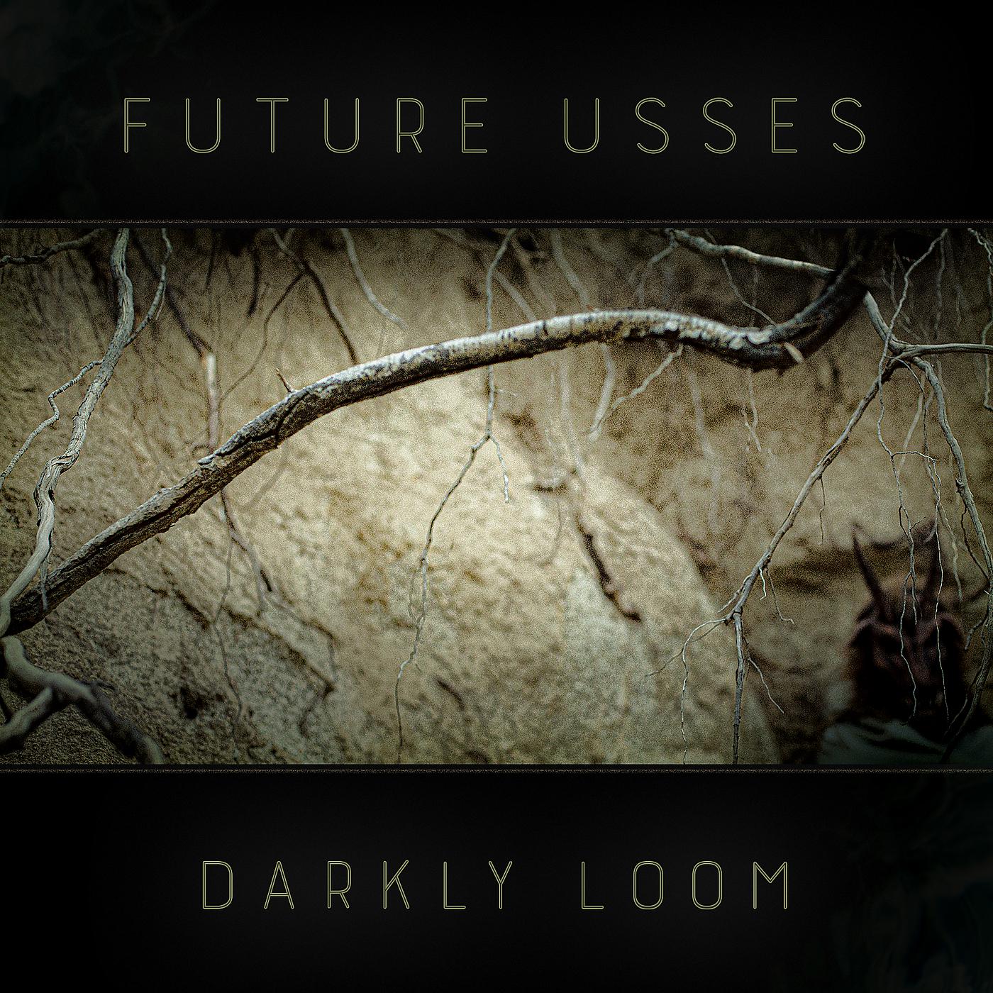 Постер альбома Darkly Loom